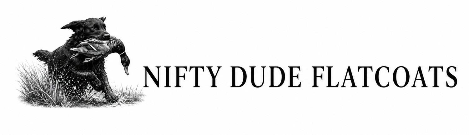 Nifty Dude