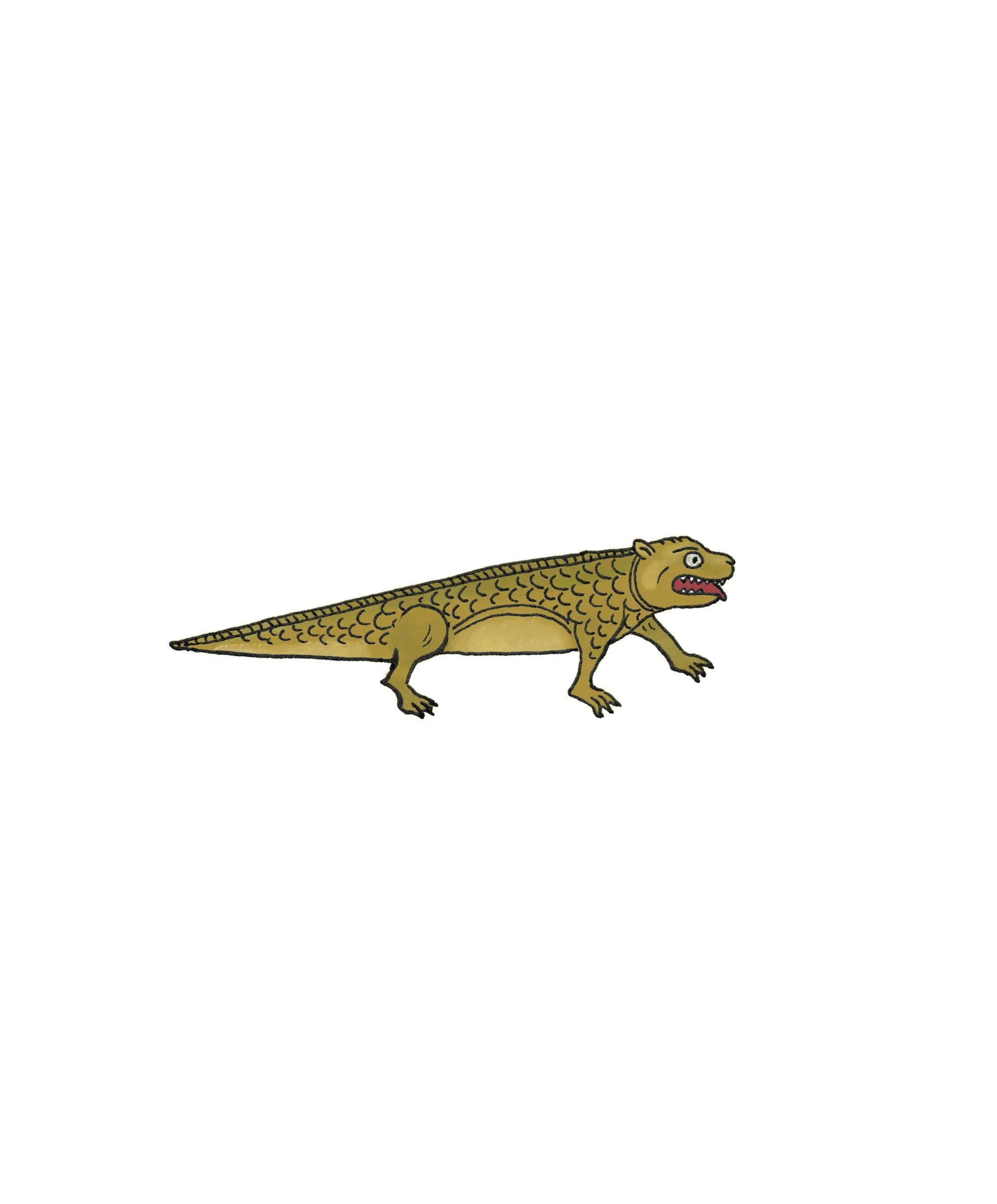 Crocodile