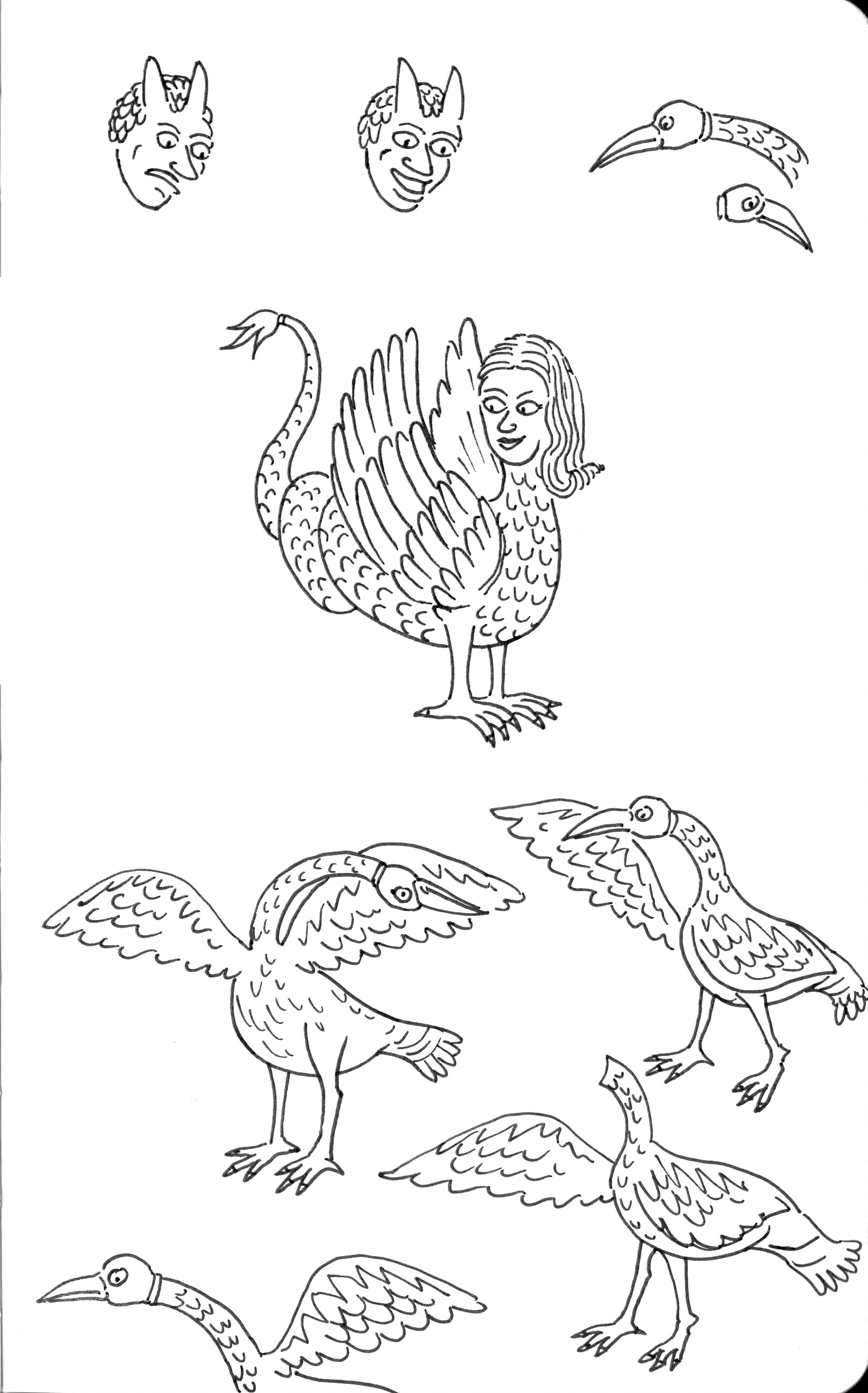 schizzi arpia meglio.png