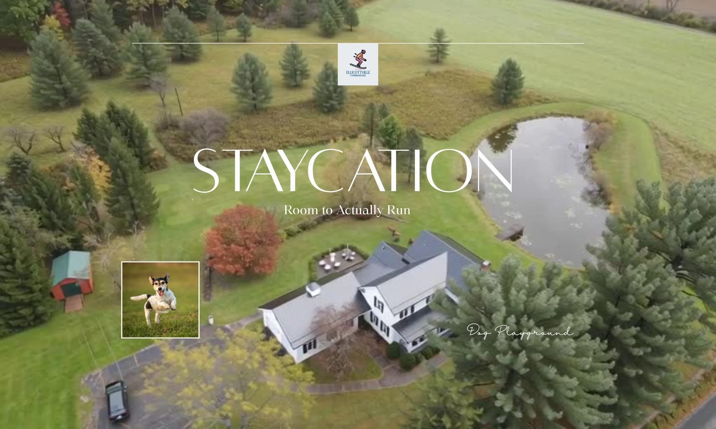 Why Dog Owners Love Spending Summer at Our Ellicottville Farmhouse