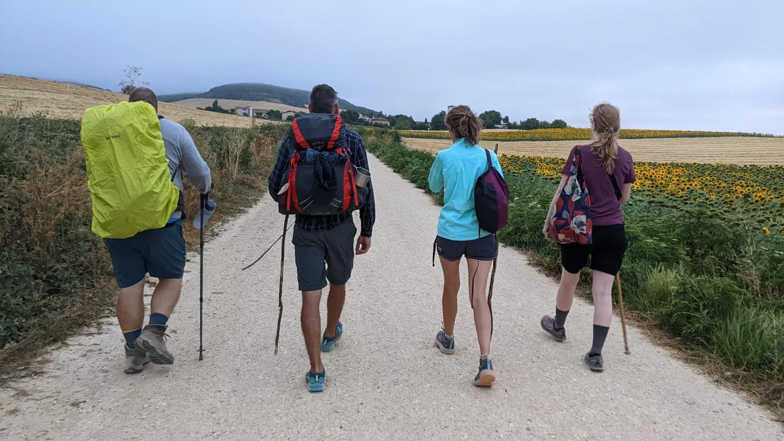 Quattro persone che camminano lungo un sentiero rurale circondato da campi di girasoli e colture, con una zona collinare sullo sfondo, in una giornata nuvolosa.