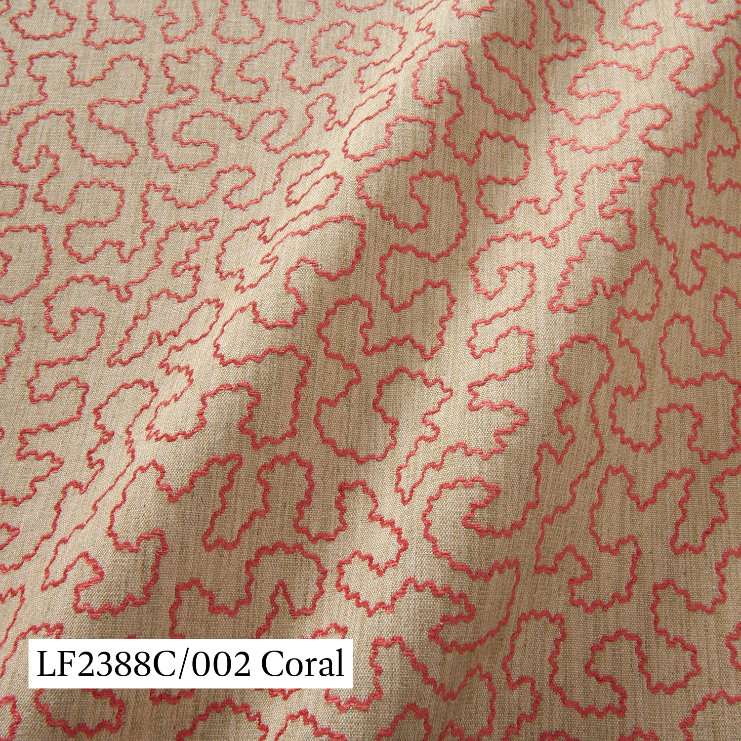 Coral Wiggle.png