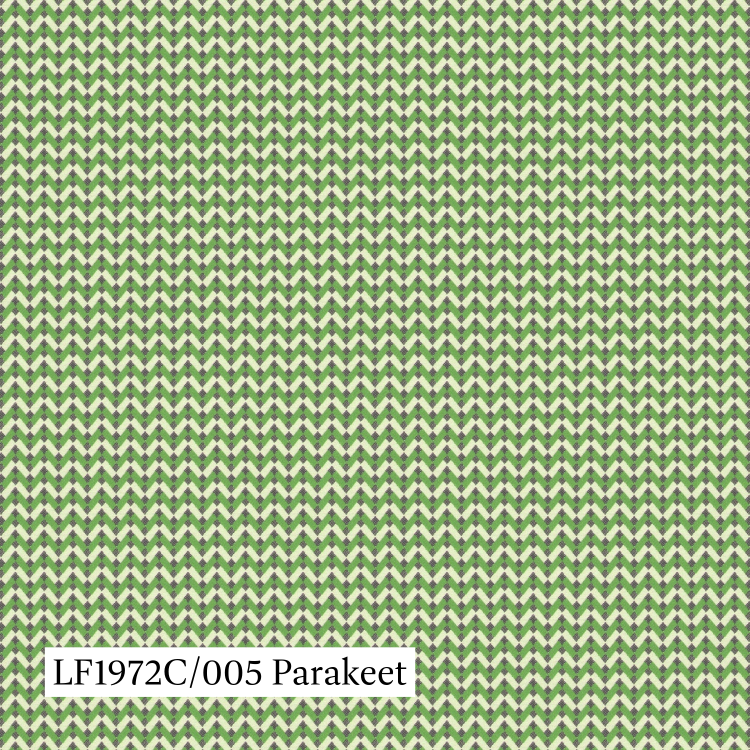 Parakeet Bolero.png