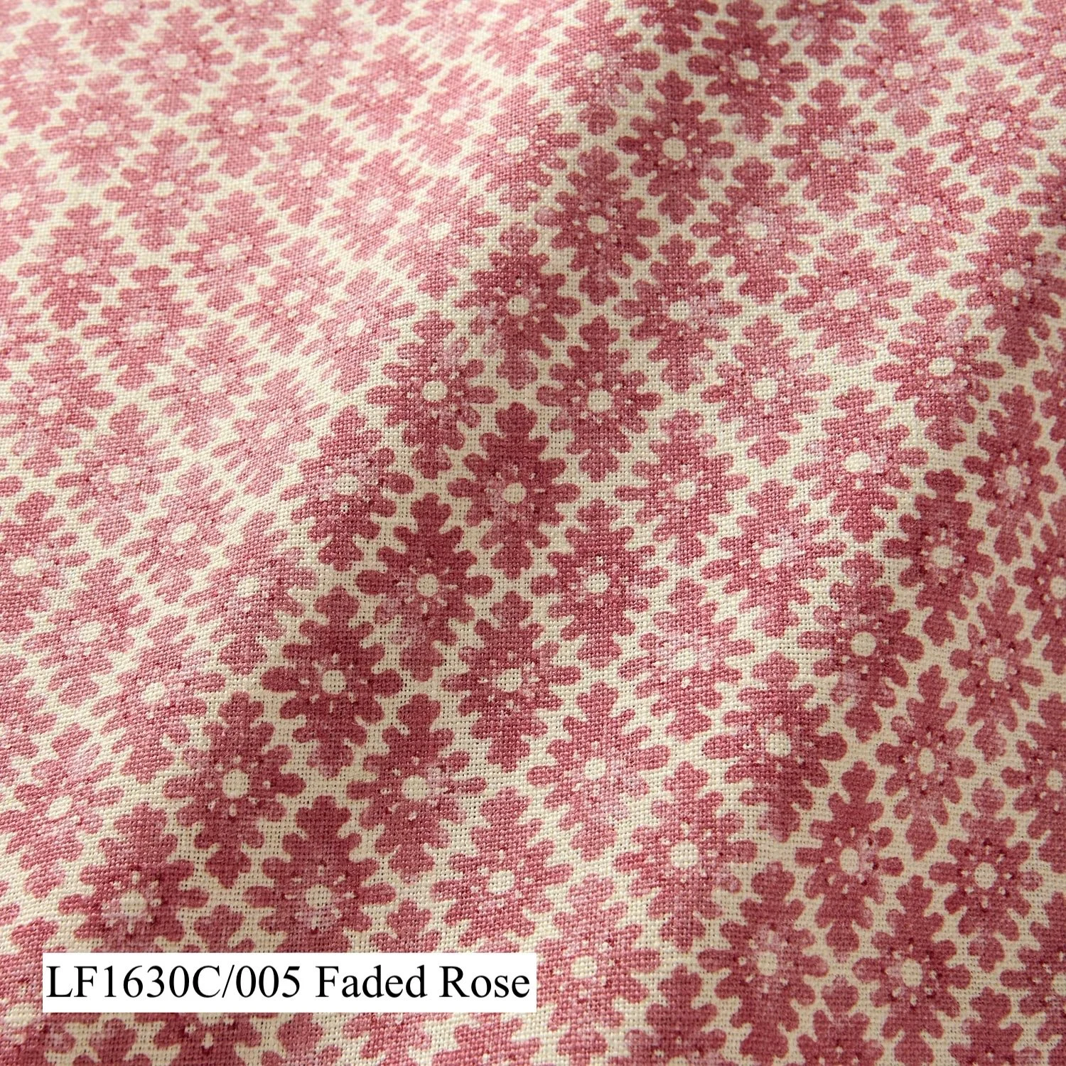 Faded Rose Ashfield.jpg