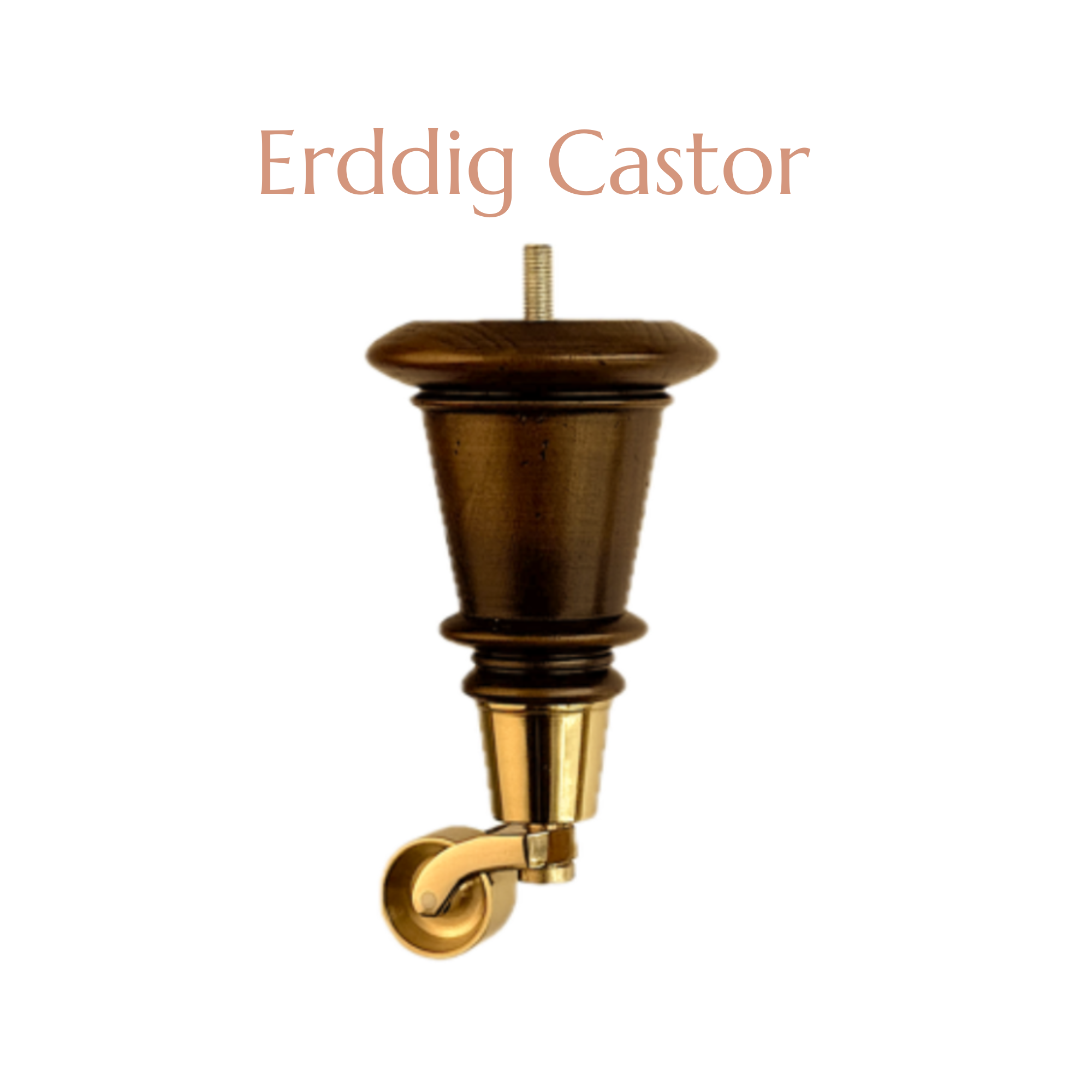 Erddig Castor.png