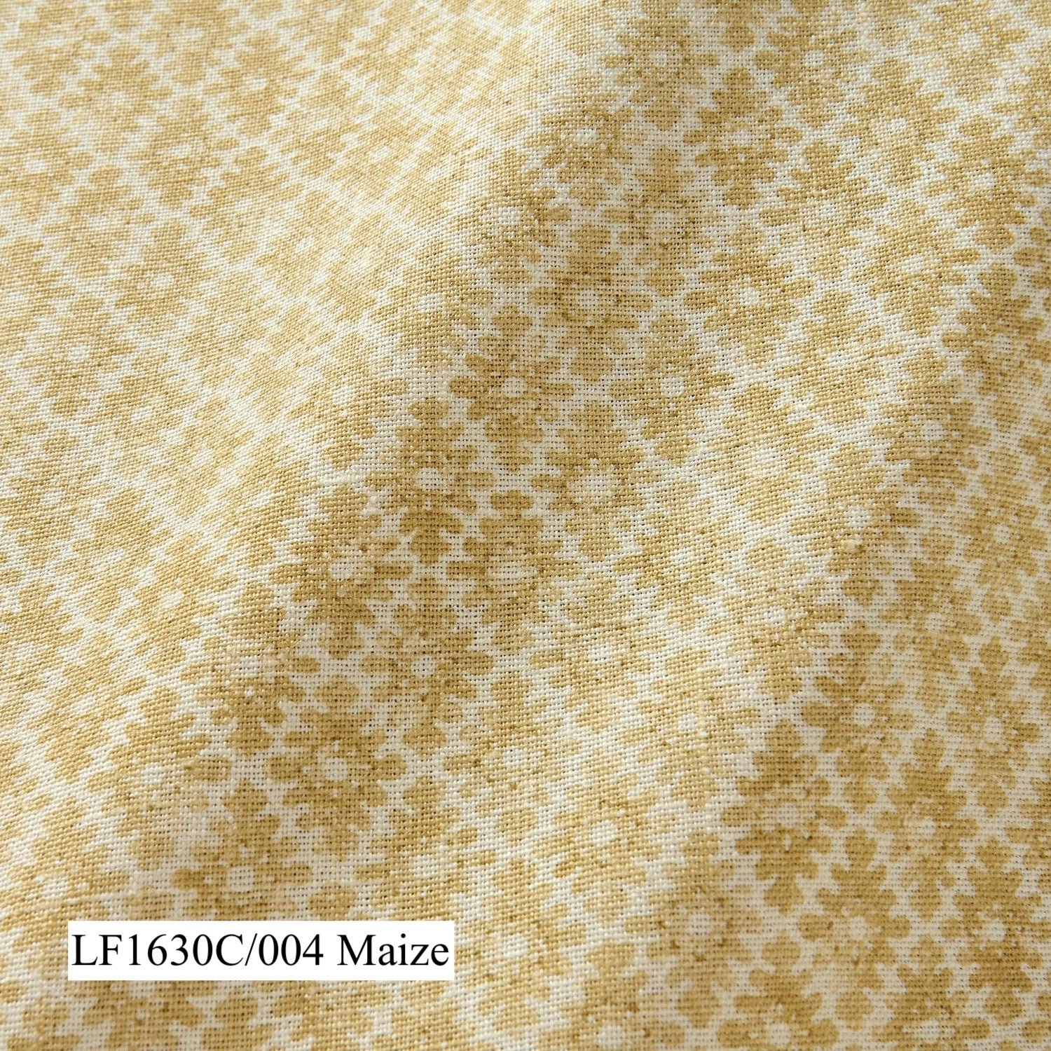 Maize Ashfield.jpg