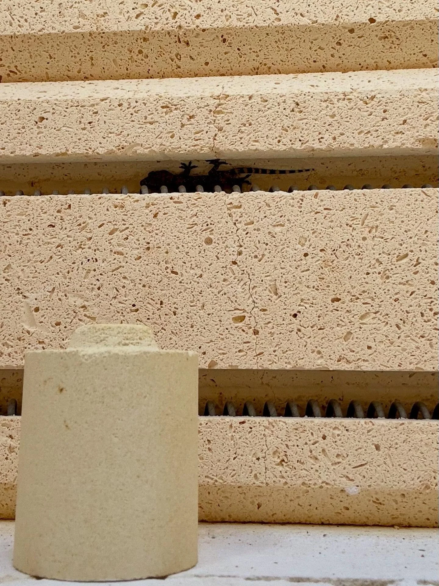 Right as I was loading the last of my pots I noticed a baby lizard on a field trip inside the kiln. He scurried straight into the elements so I had to unload everything - pots, furniture, shelves - to give him a safe exit. I&rsquo;ve seen lots of kil