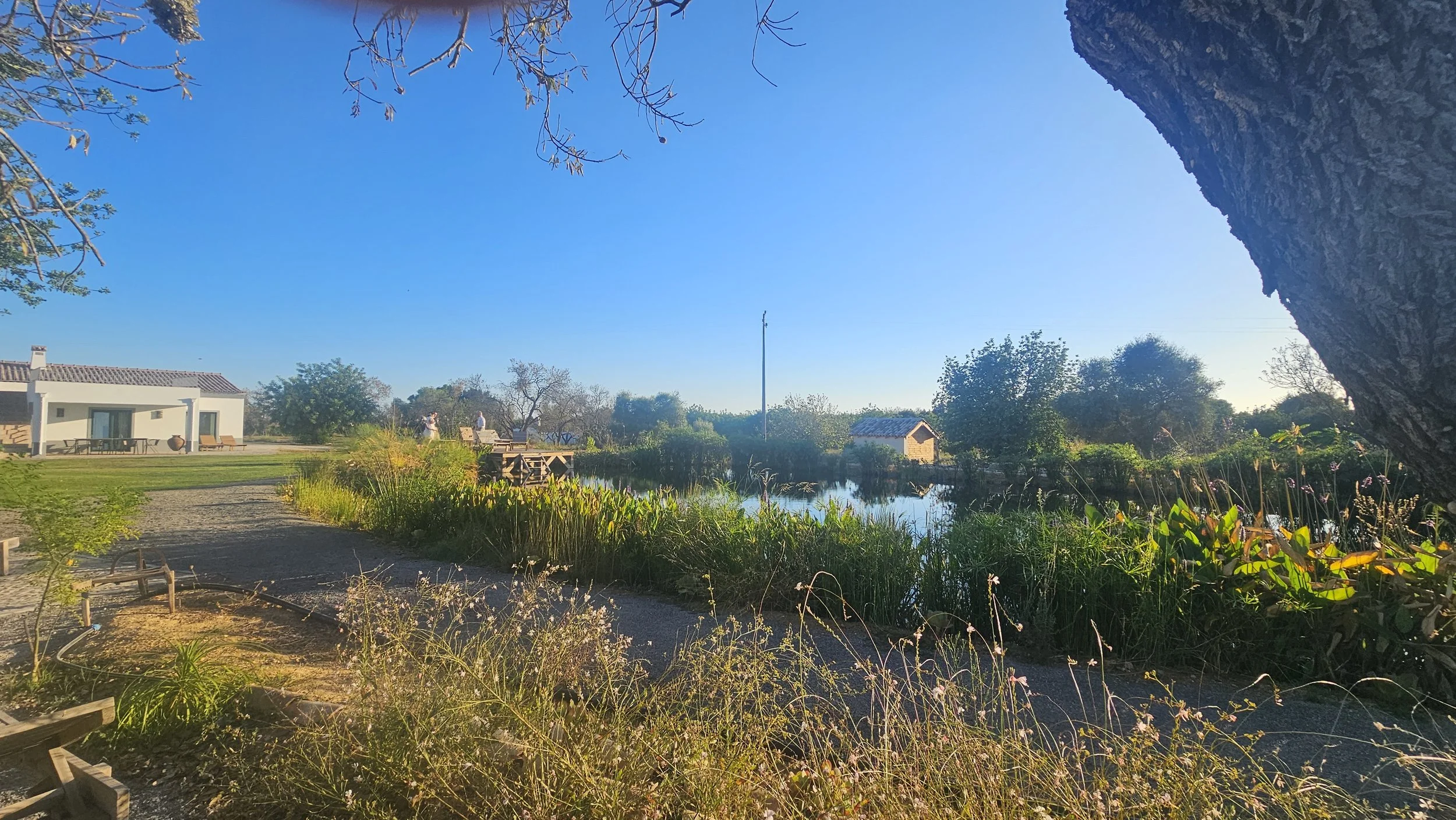 20250915_183819.jpg