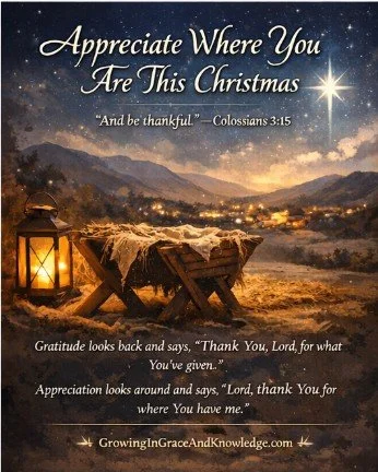 Appreciate Where You Are This Christmas