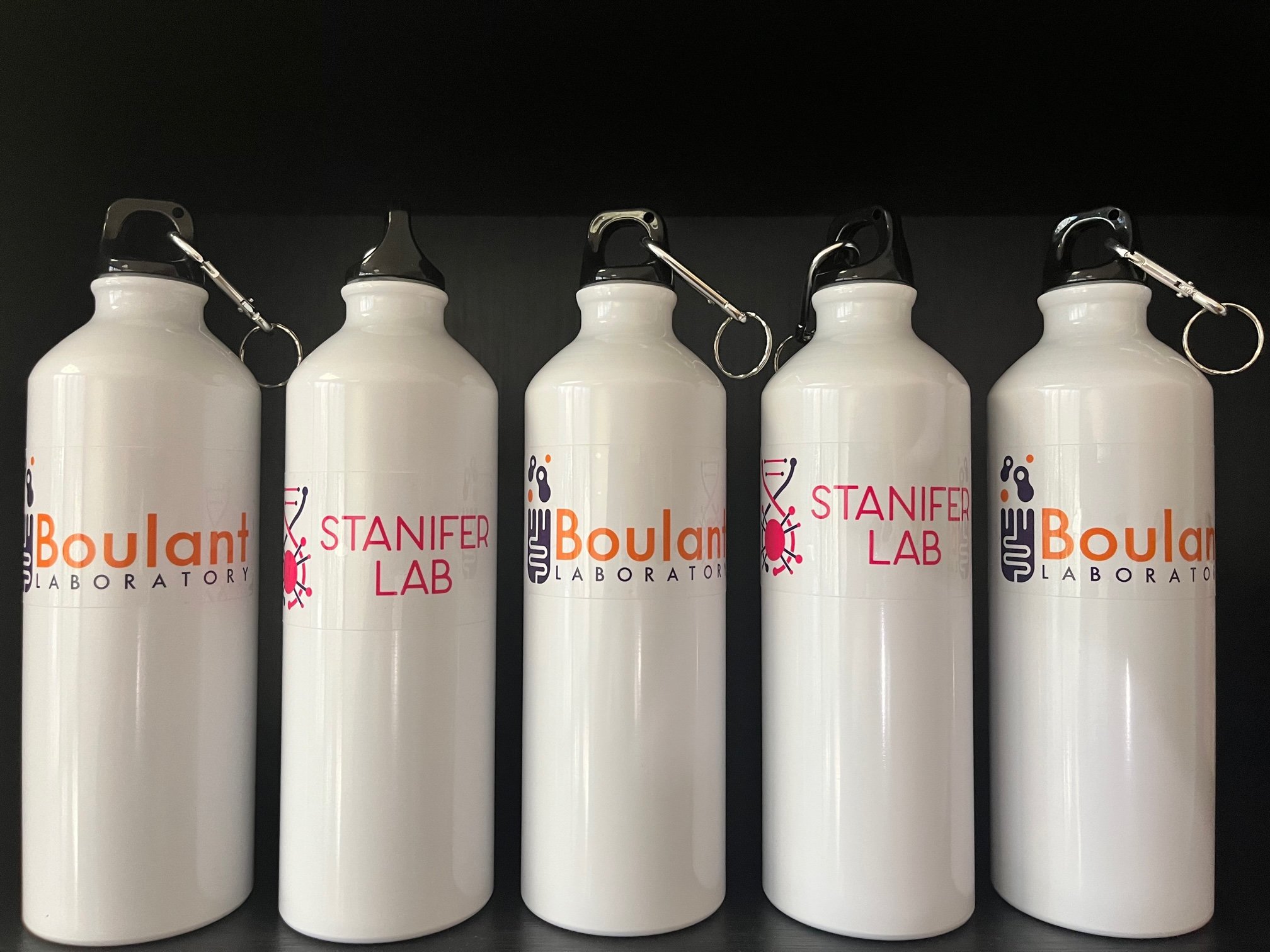 bottles.jpg