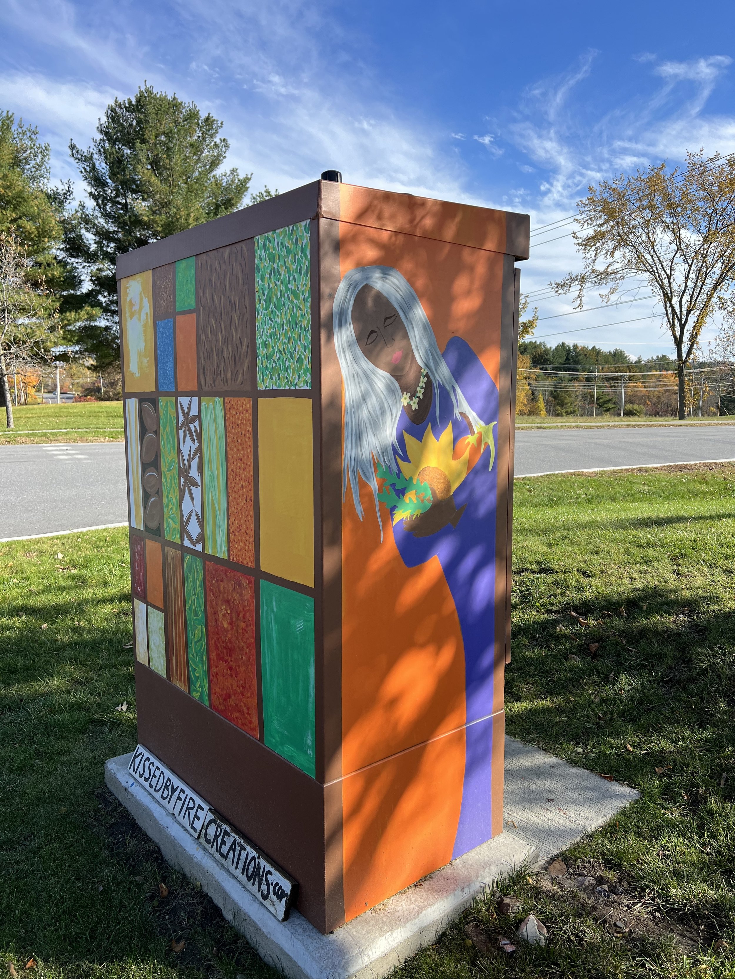 Side of electric box S.Burlington.jpg