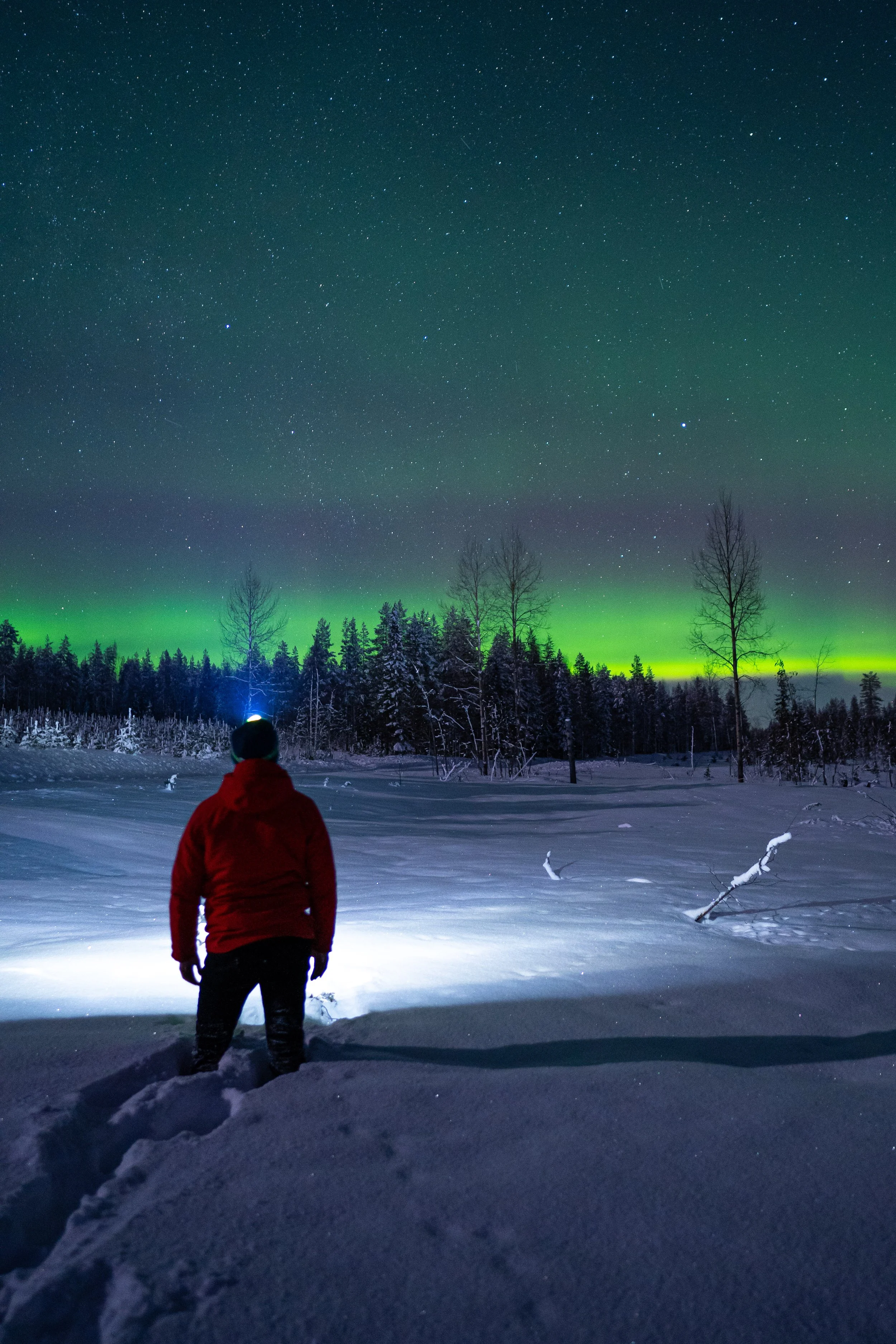 Aurora Hunting Mistakes Tourists Always Make in Rovaniemi (And How to Avoid Them)