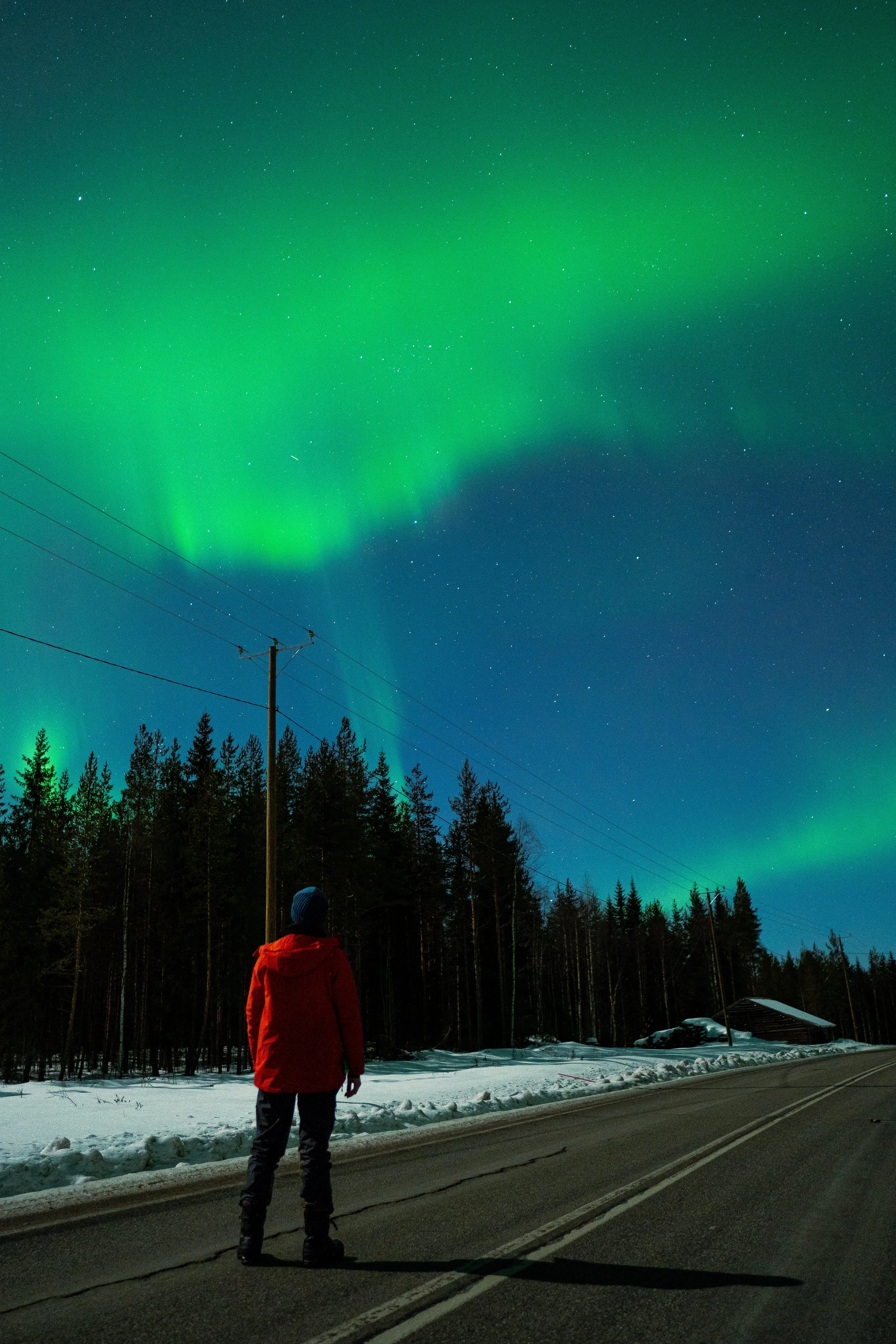 How to Pick the Best Northern Lights Tour in Rovaniemi