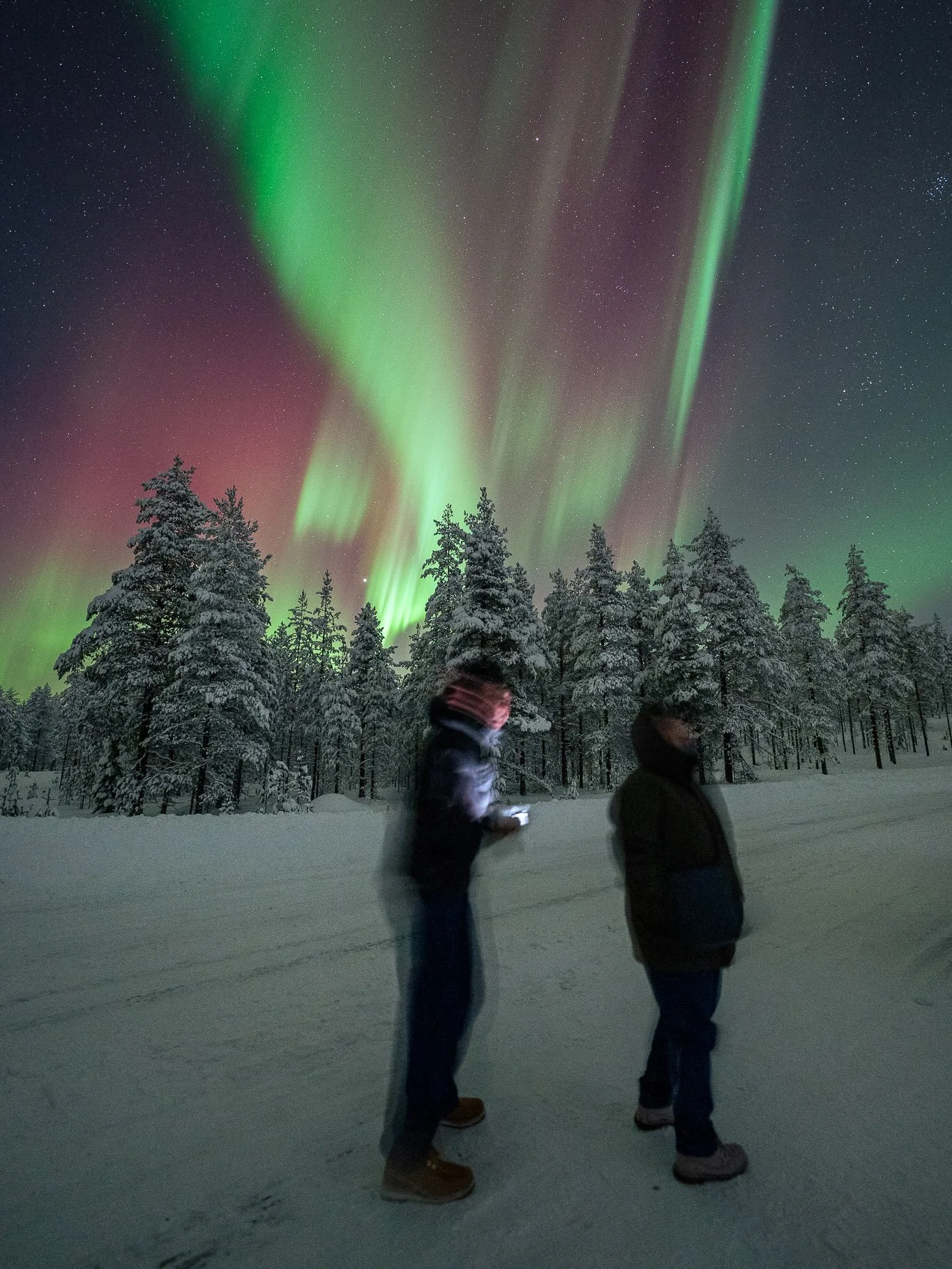 Surely I can&rsquo;t be the only one who loves when a photo is anything but perfect?

Some of my favourite photos I&rsquo;ve captured on my northern lights tours are the ones where nothing is staged, no warning is given or when something goes complet
