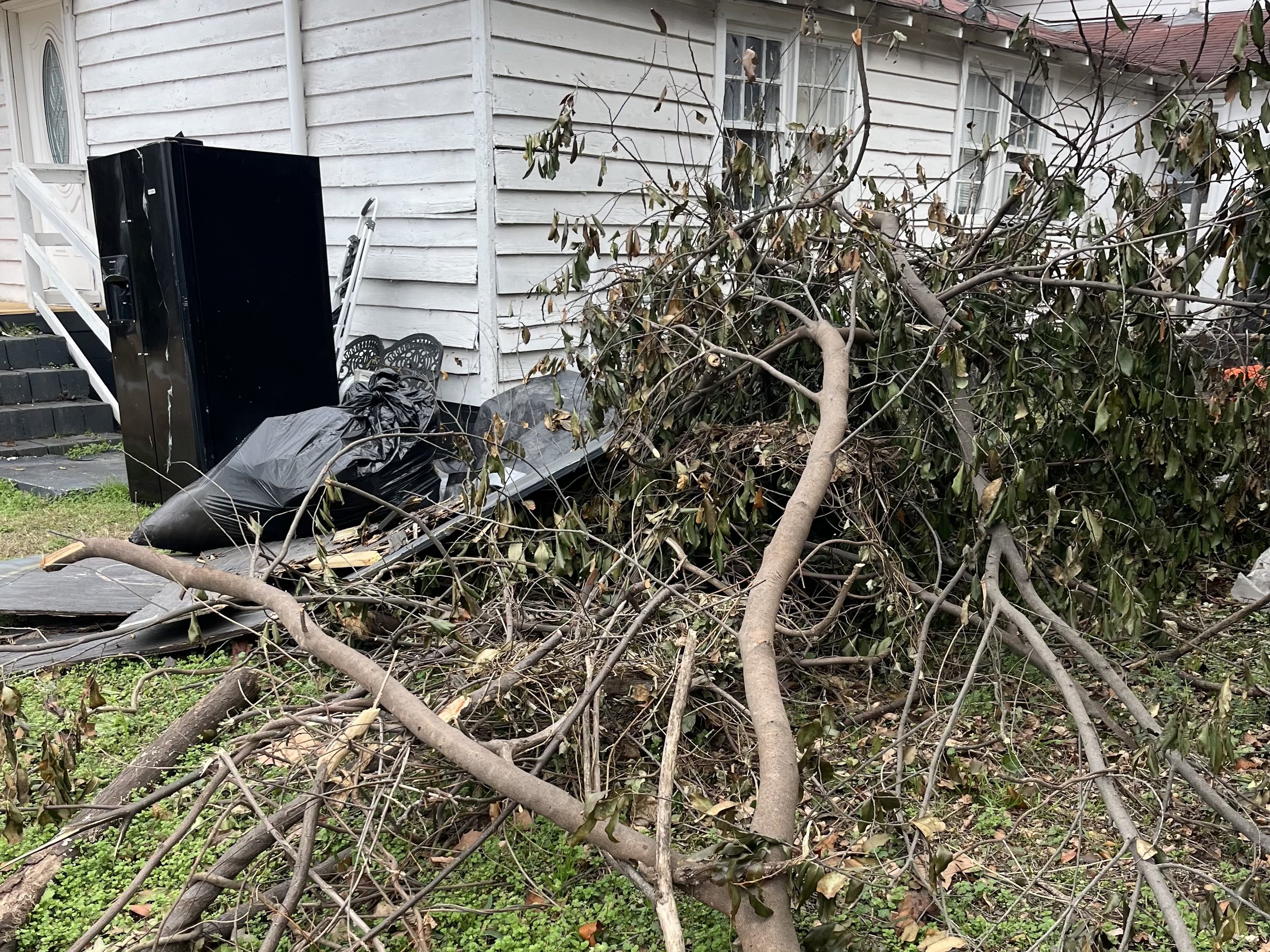 Yard Debris Cleanup