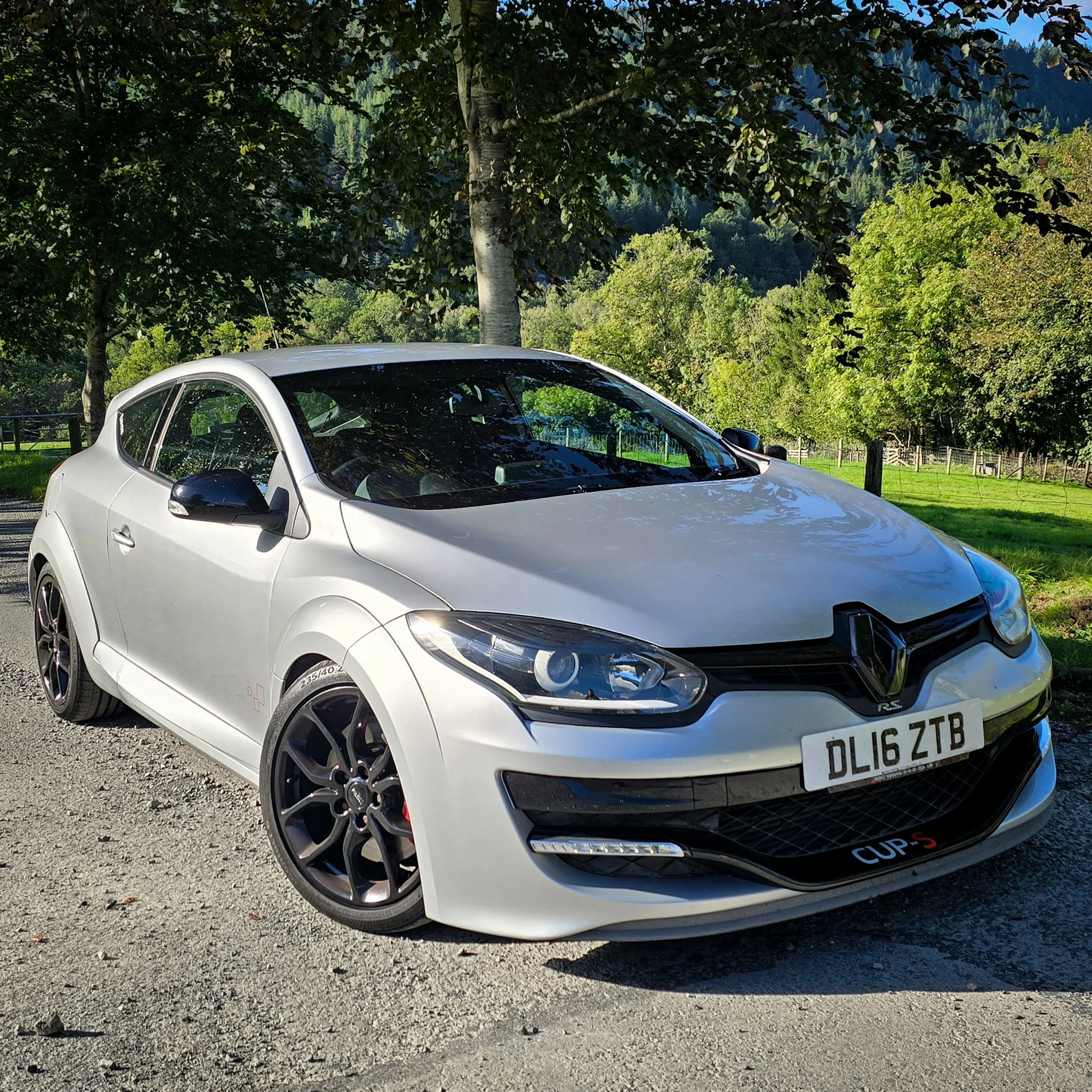 Renault Megane RS275 Cup-S - £16,500