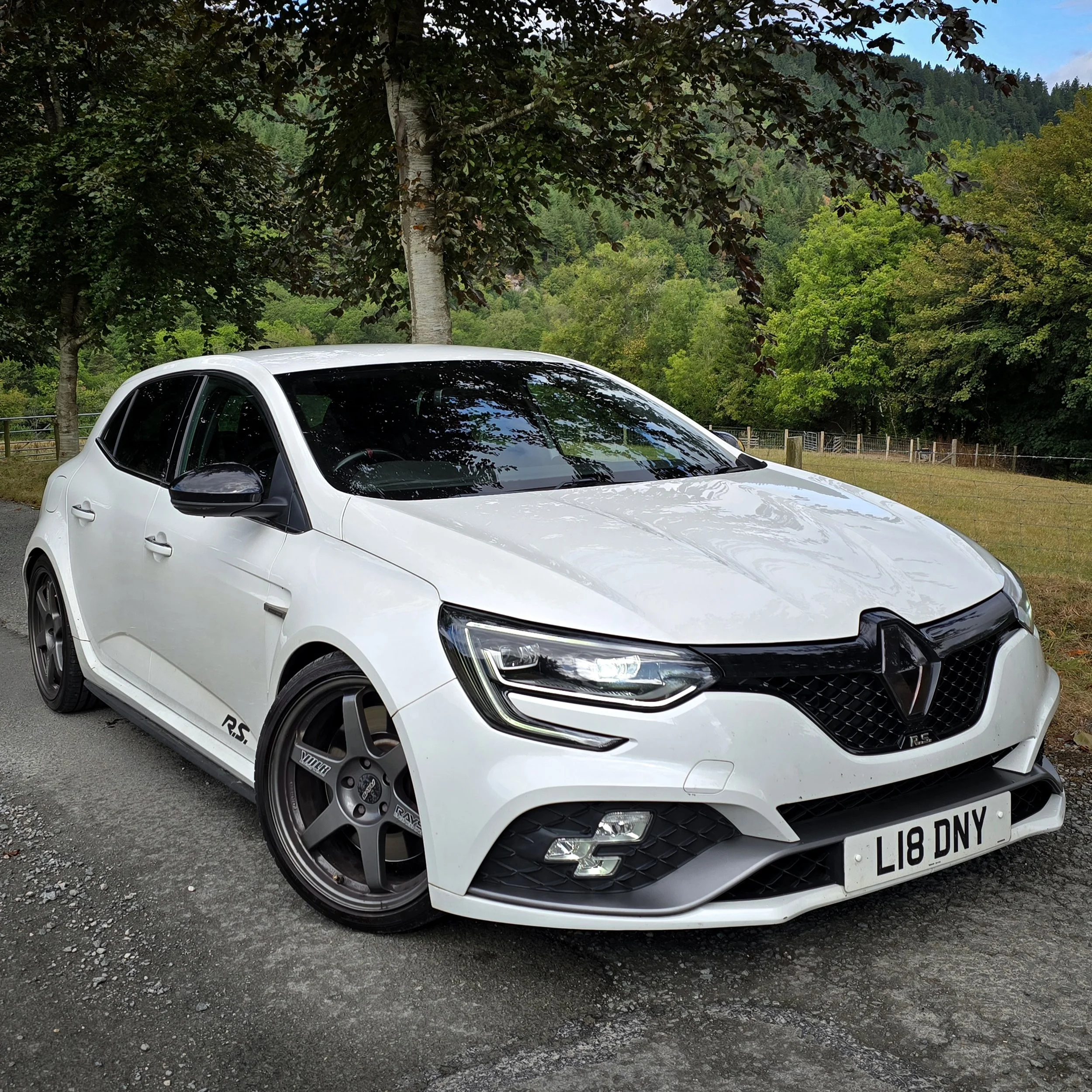 Modified Renault Megane RS280 Cup - £19,500