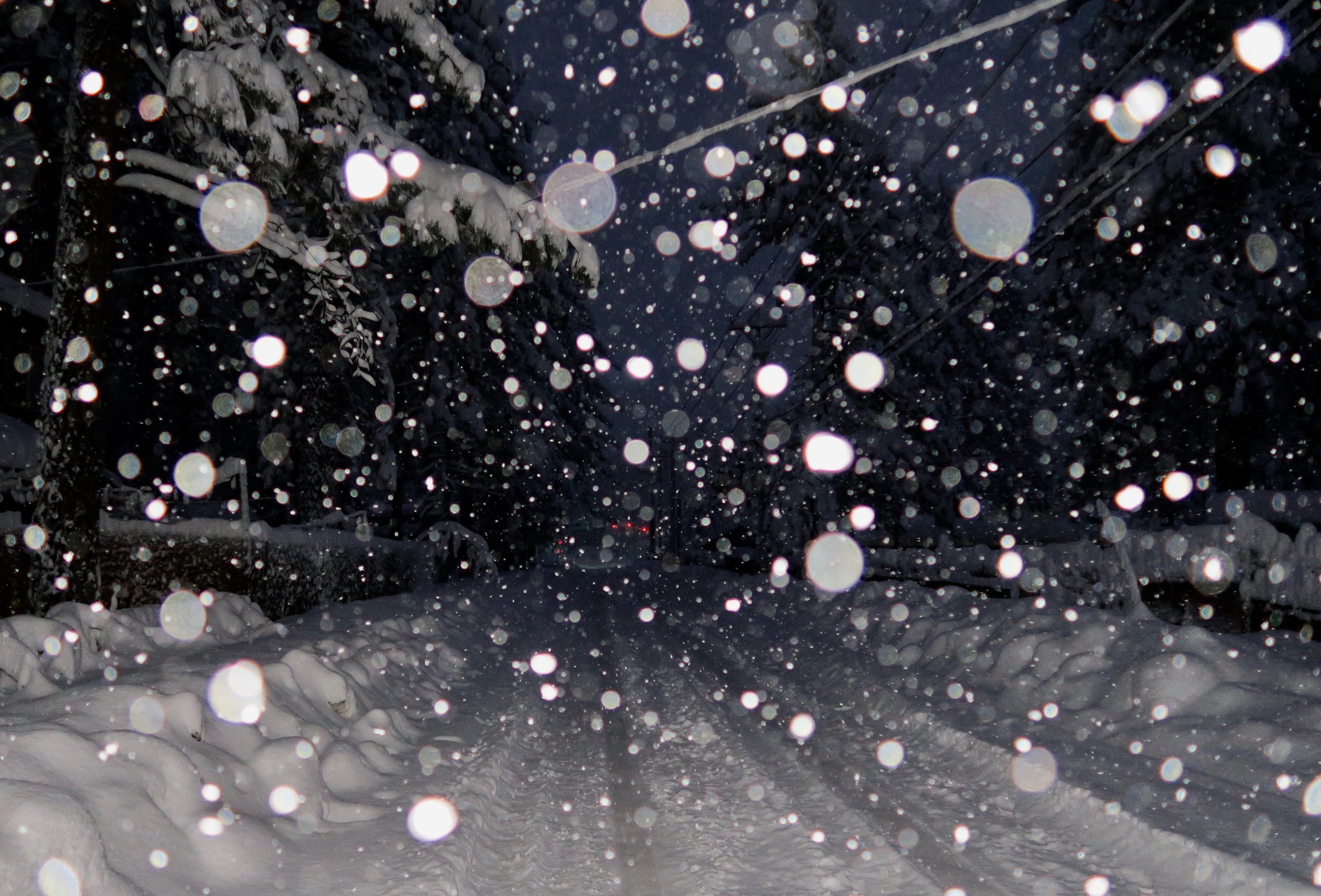 snowfall.jpeg