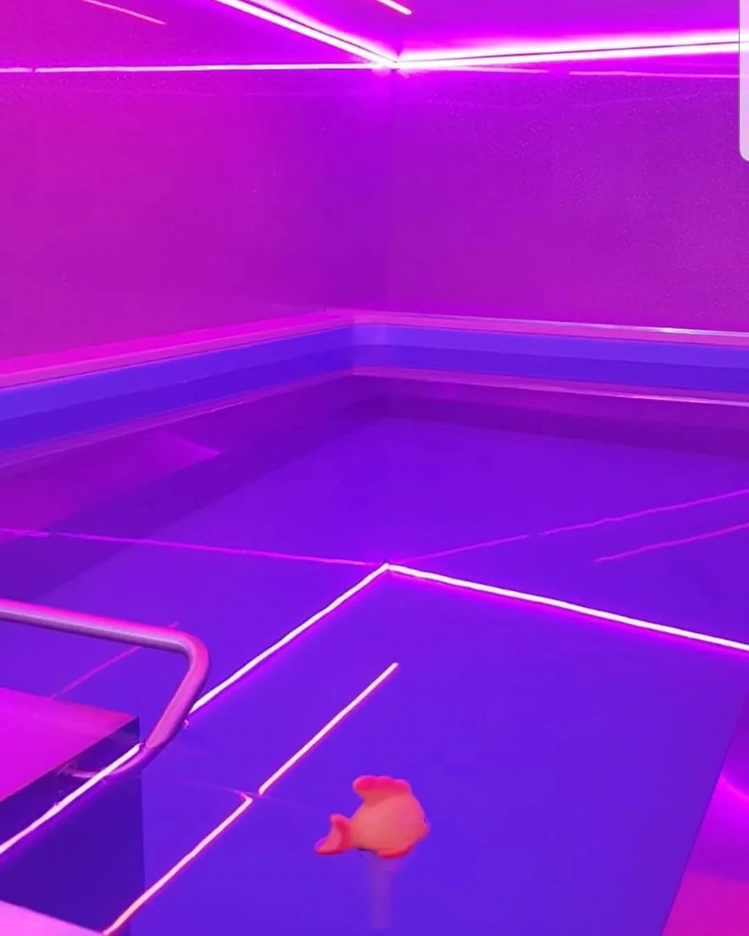 Endless+pool+pink.jpg