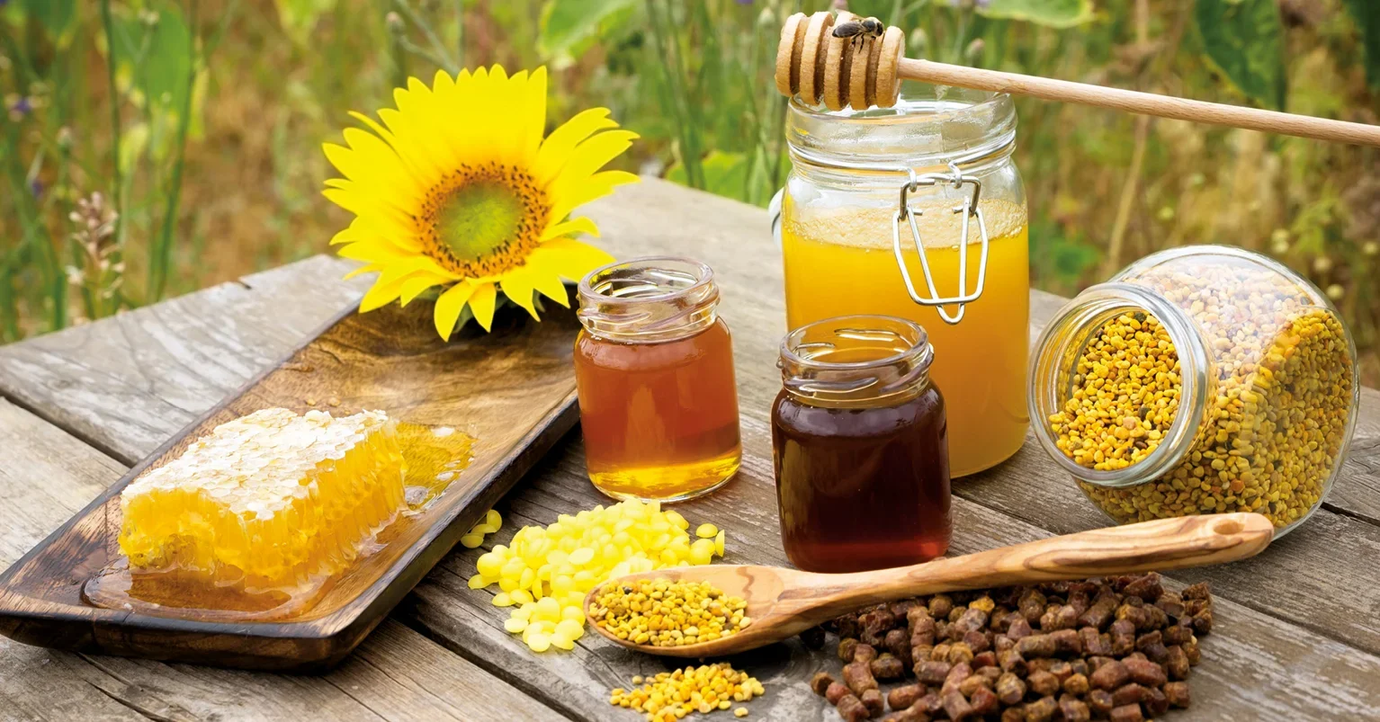 What honey bee hive products exist beyond honey and beeswax?