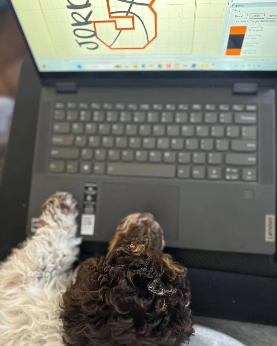When your coworker insists on supervising the digitizing process 🐾💻
Quality control by the goodest boy.

#WorkFromHome #EmbroideryLife #DigitizingDay #OfficeAssistant #DogMomLife #SmallBusinessLife #CraftRoomVibes #PuppySupervisor