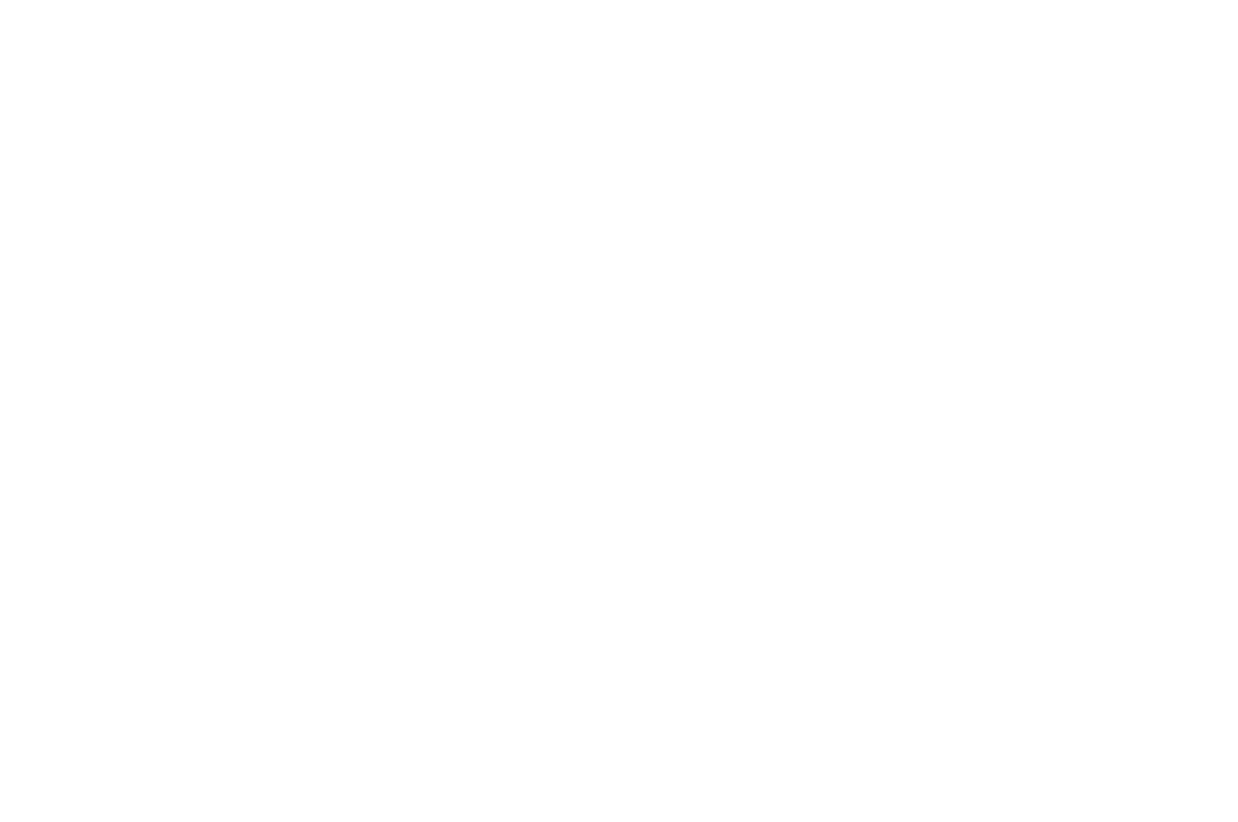 Black background with white laurel wreaths surrounding text that reads "Official Selection Flickers Eindhoven 2024".