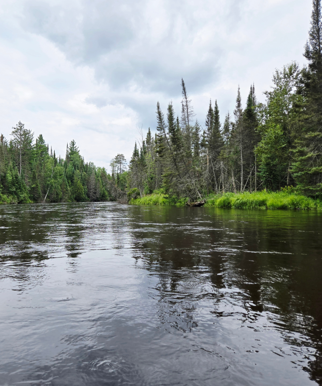 Finding Your Perfect River in Northern Michigan: A Lifestyle Guide