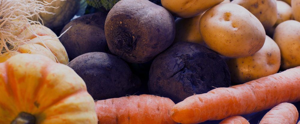 Un groupe de légumes, notamment des pommes de terre, des carottes, un butternut, et une courge. Les légumes sont de différentes couleurs et formes.
