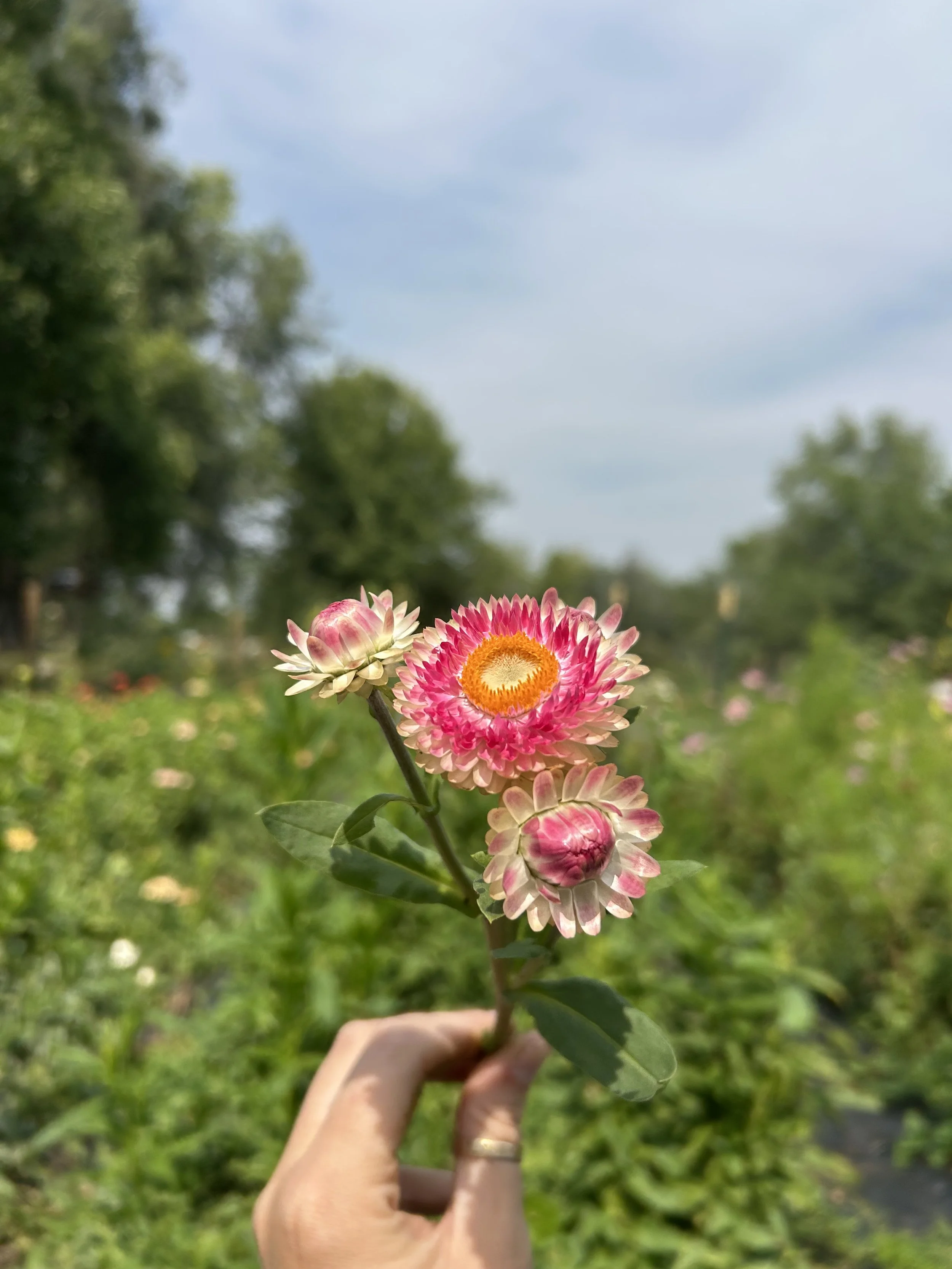 IMG_7664 (1).jpeg