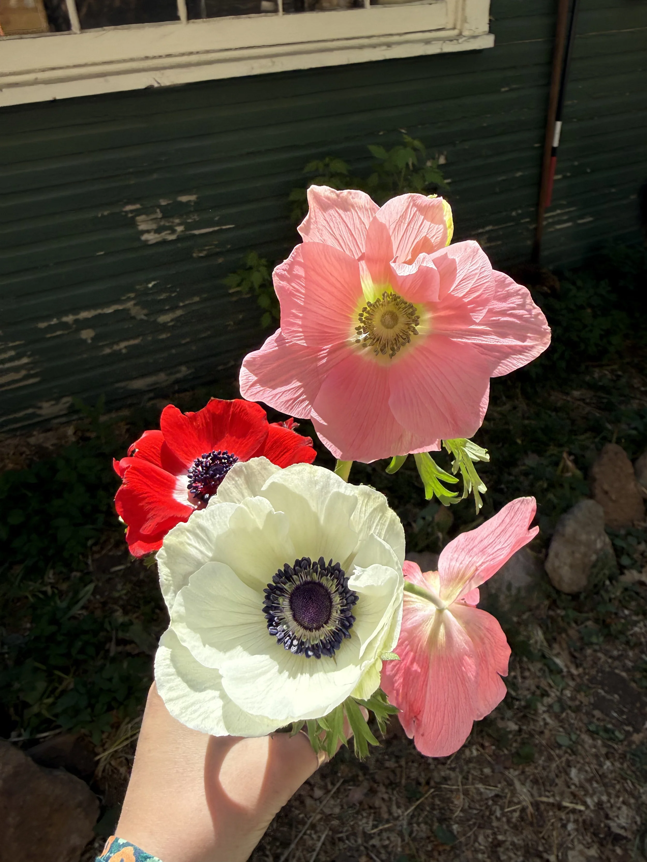 IMG_1780.jpeg