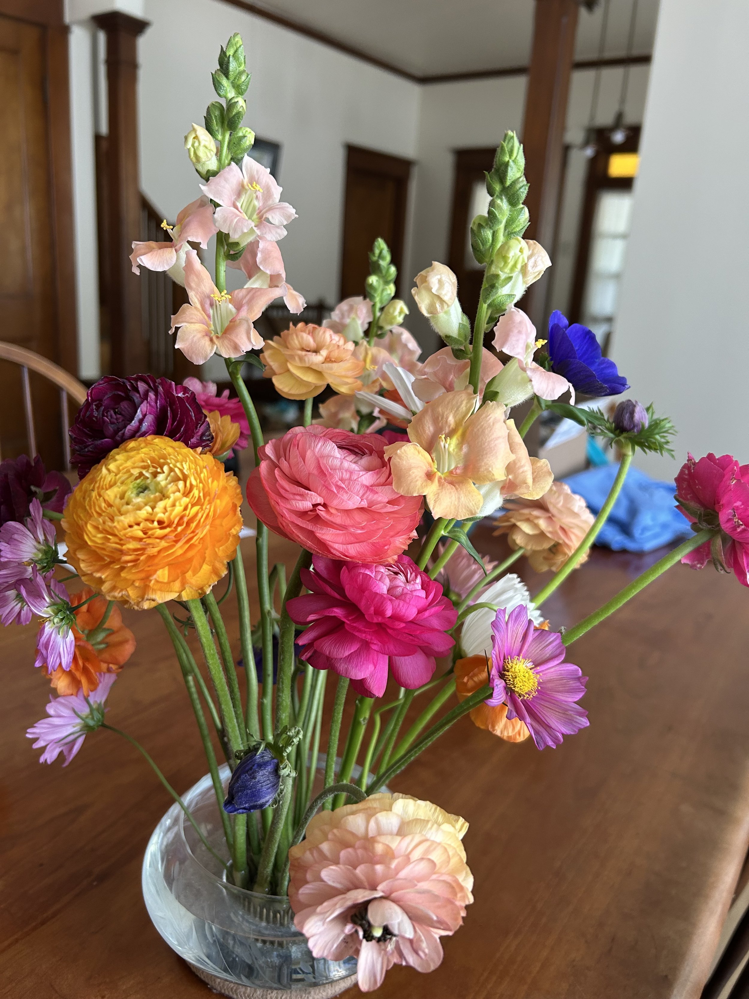 IMG_6742 (1).jpeg