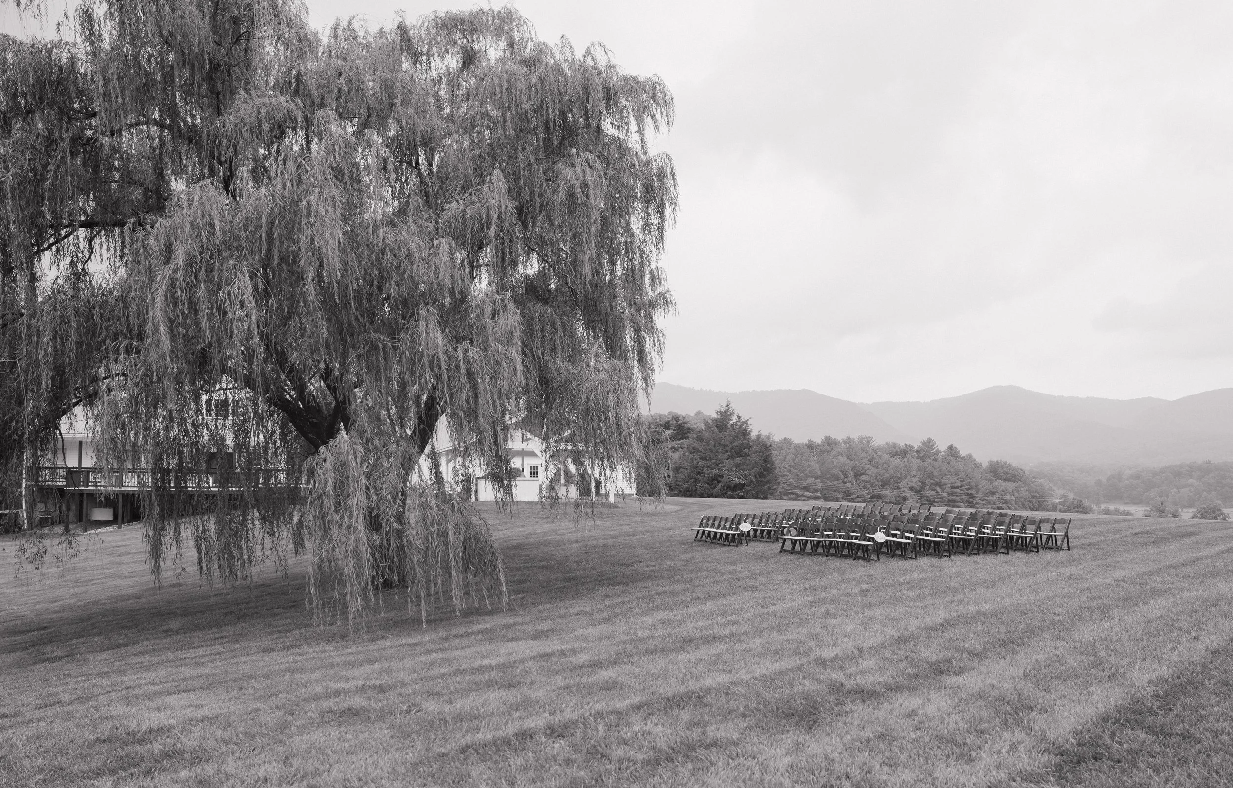 DSC08754-2.jpg