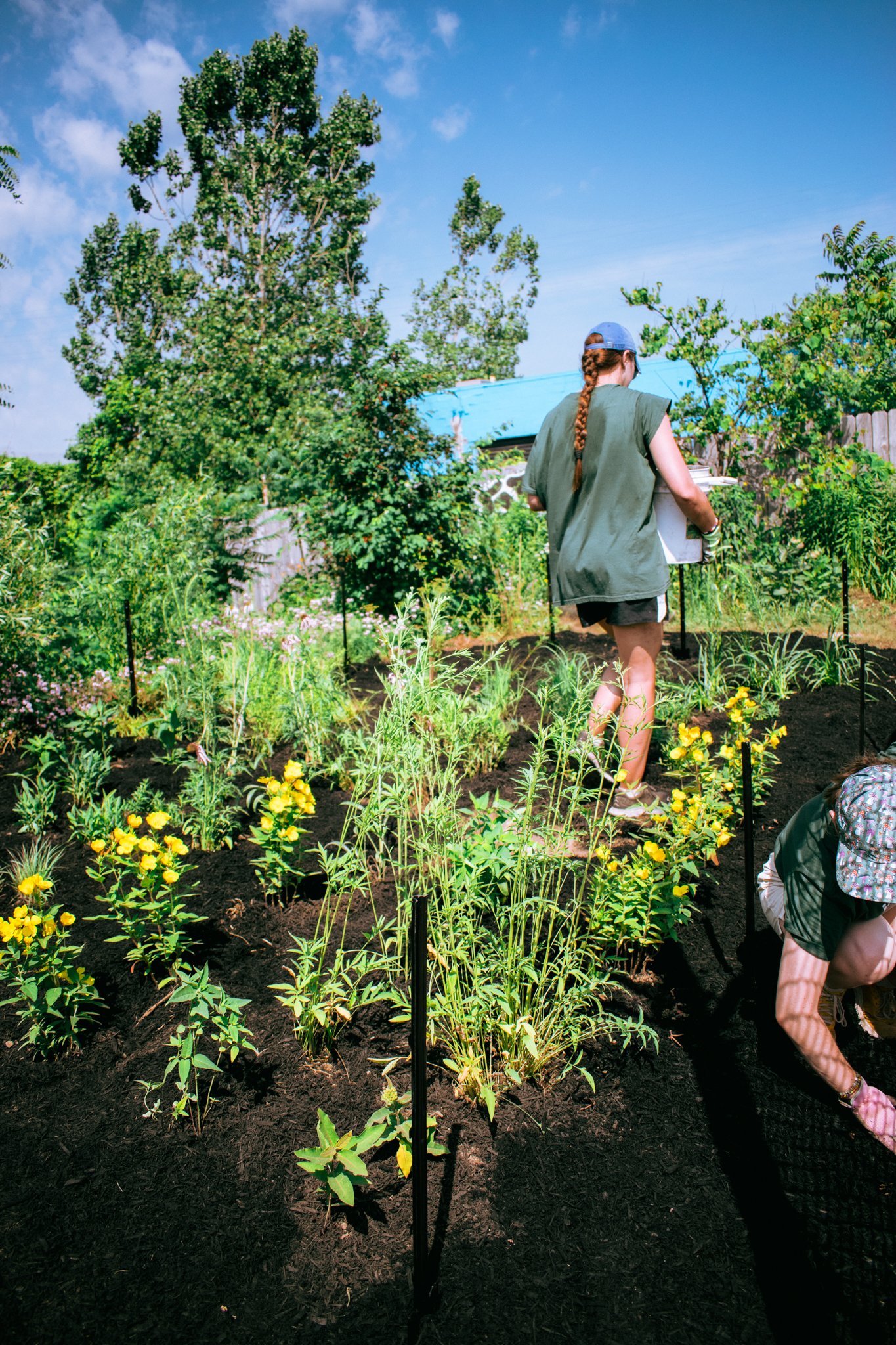 PollinatorGarden-10.jpg