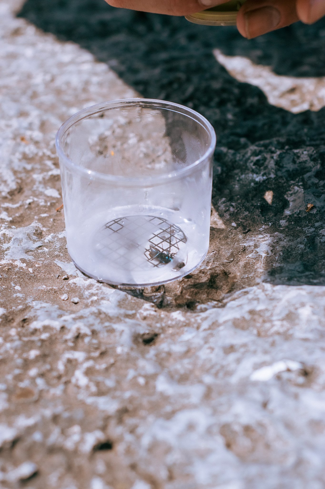 DSC_0126.jpg