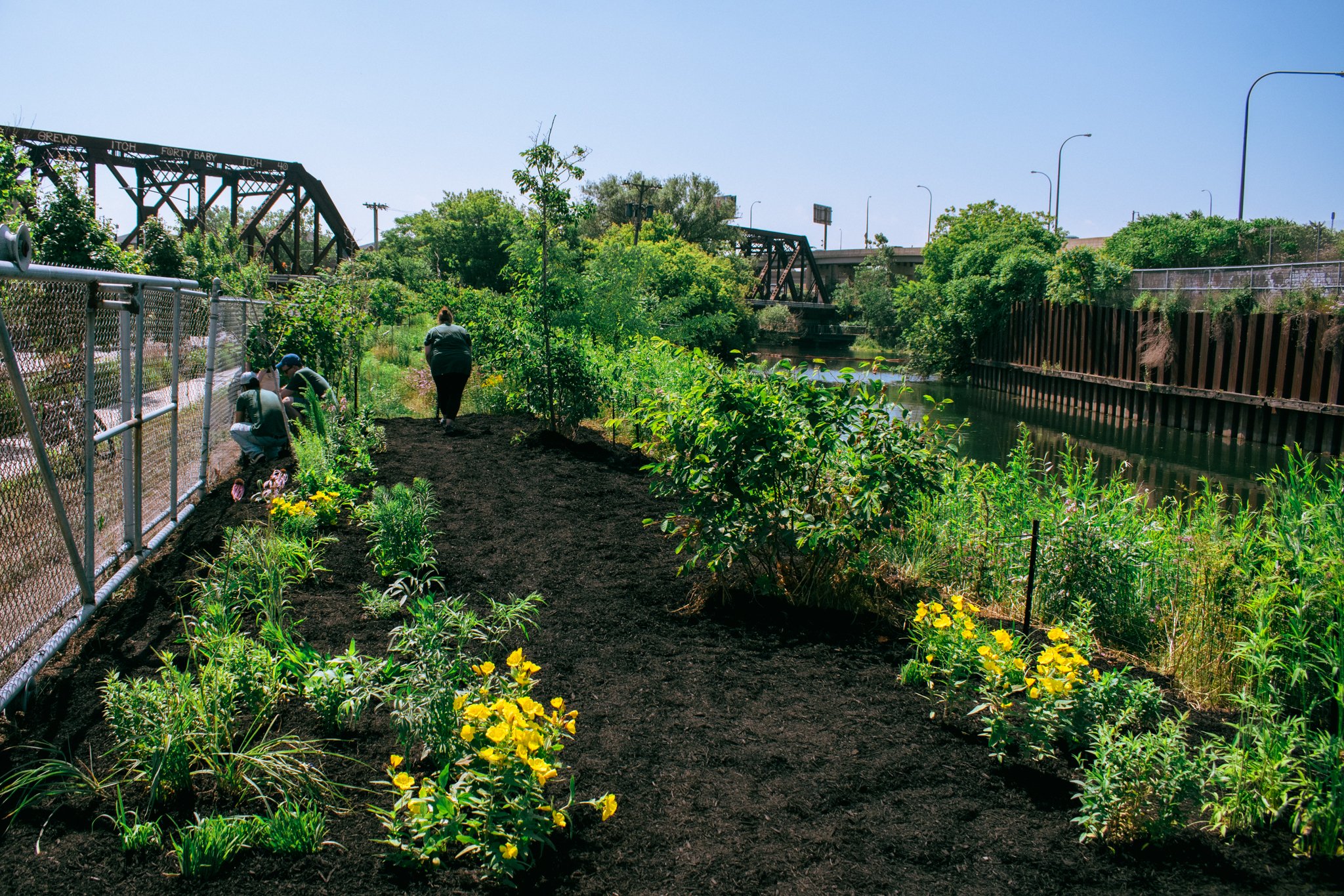 PollinatorGarden-02.jpg