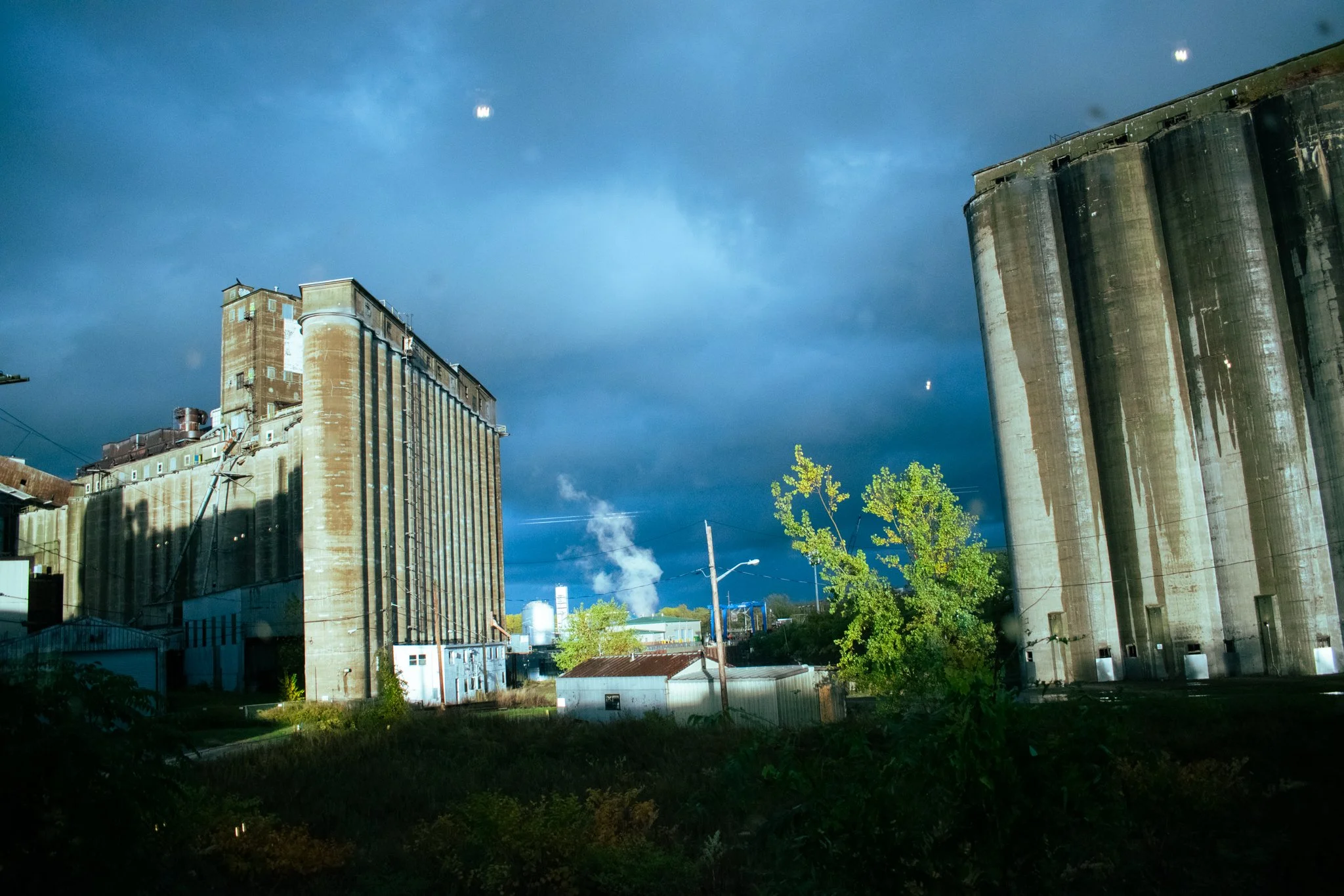 FallFest2025-65.jpg