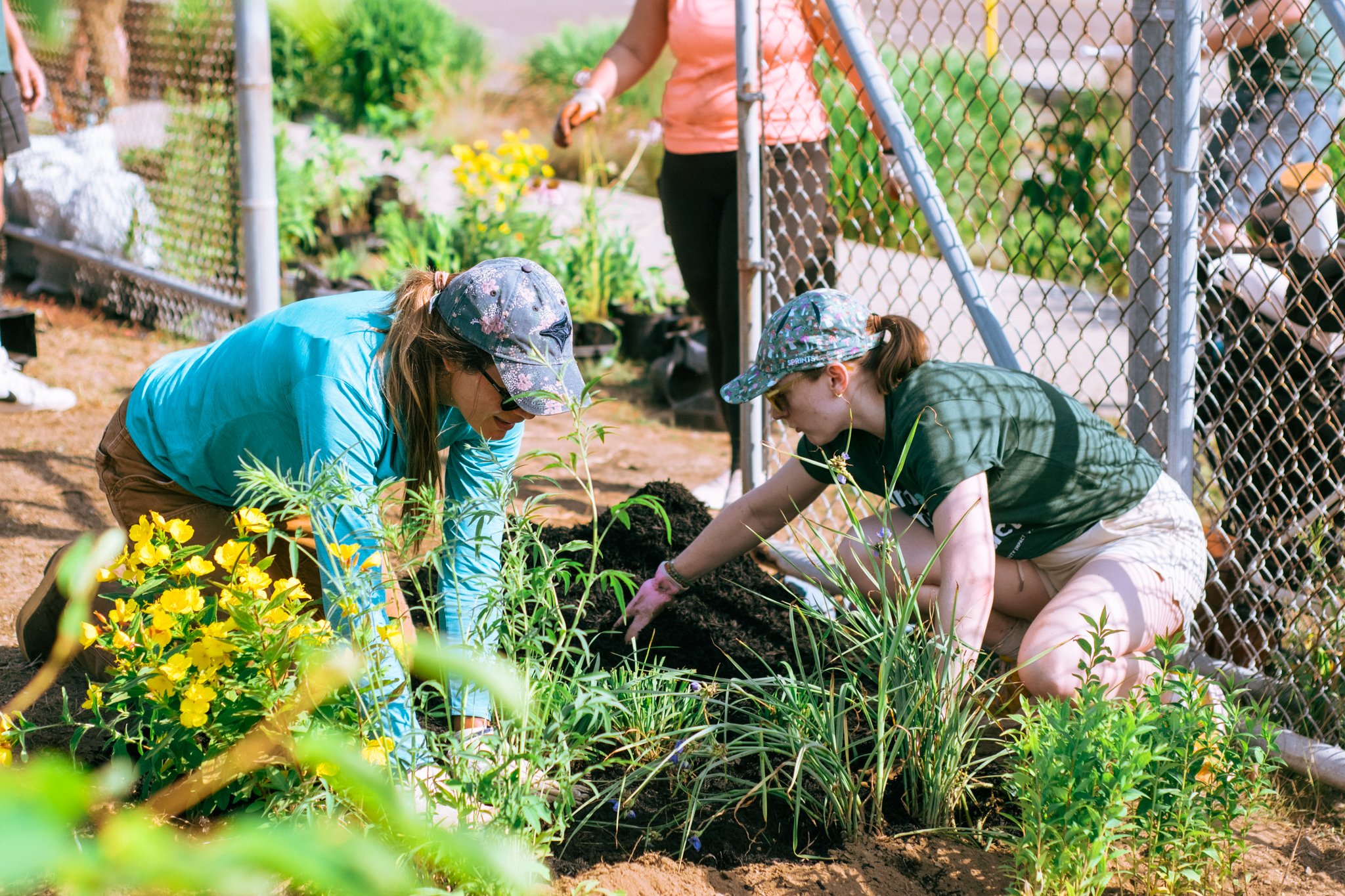 PollinatorGarden-16.jpg