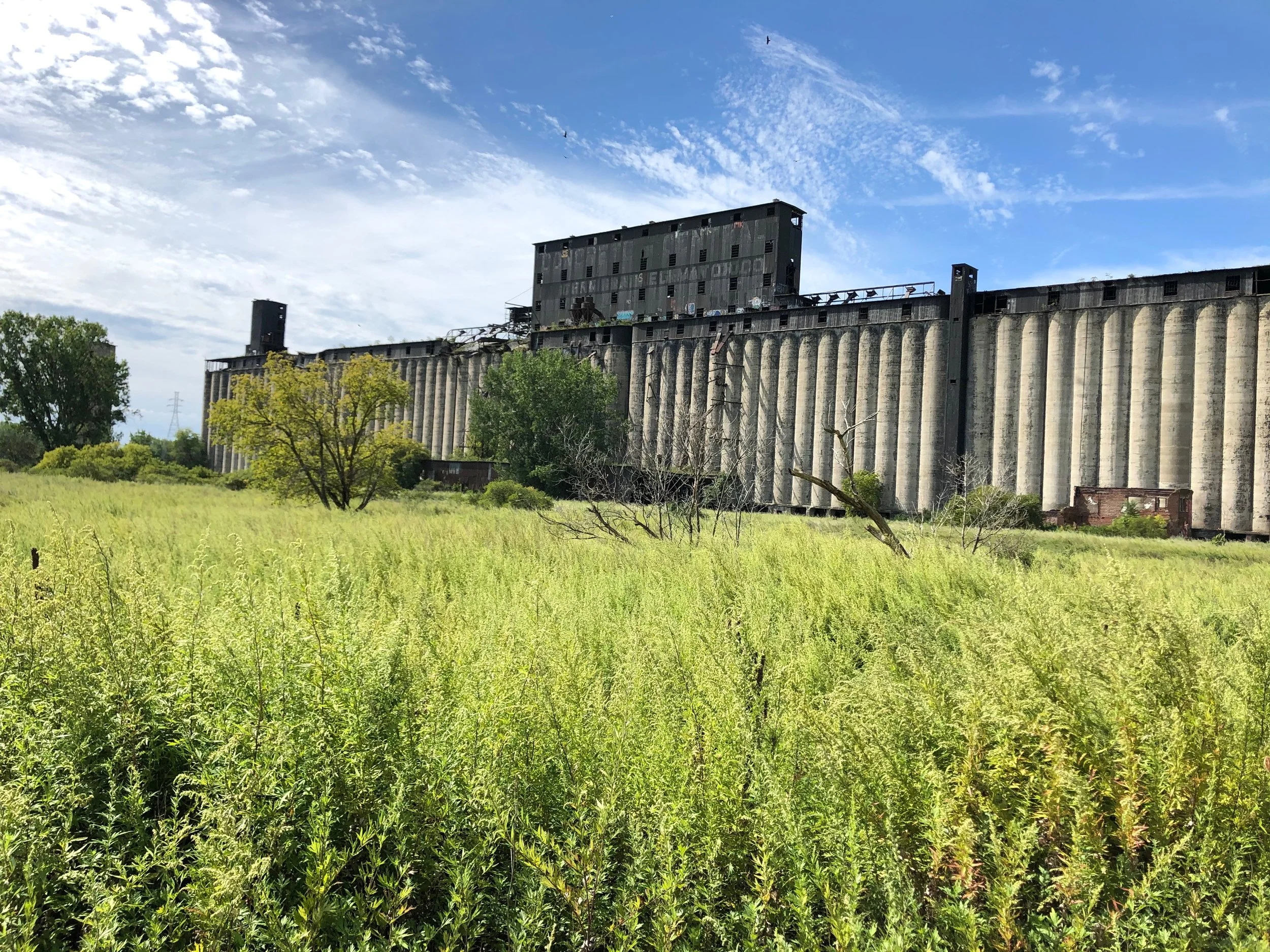 Abandoned grain elevator surrounded by overgrown grass and trees under a blue sky.
