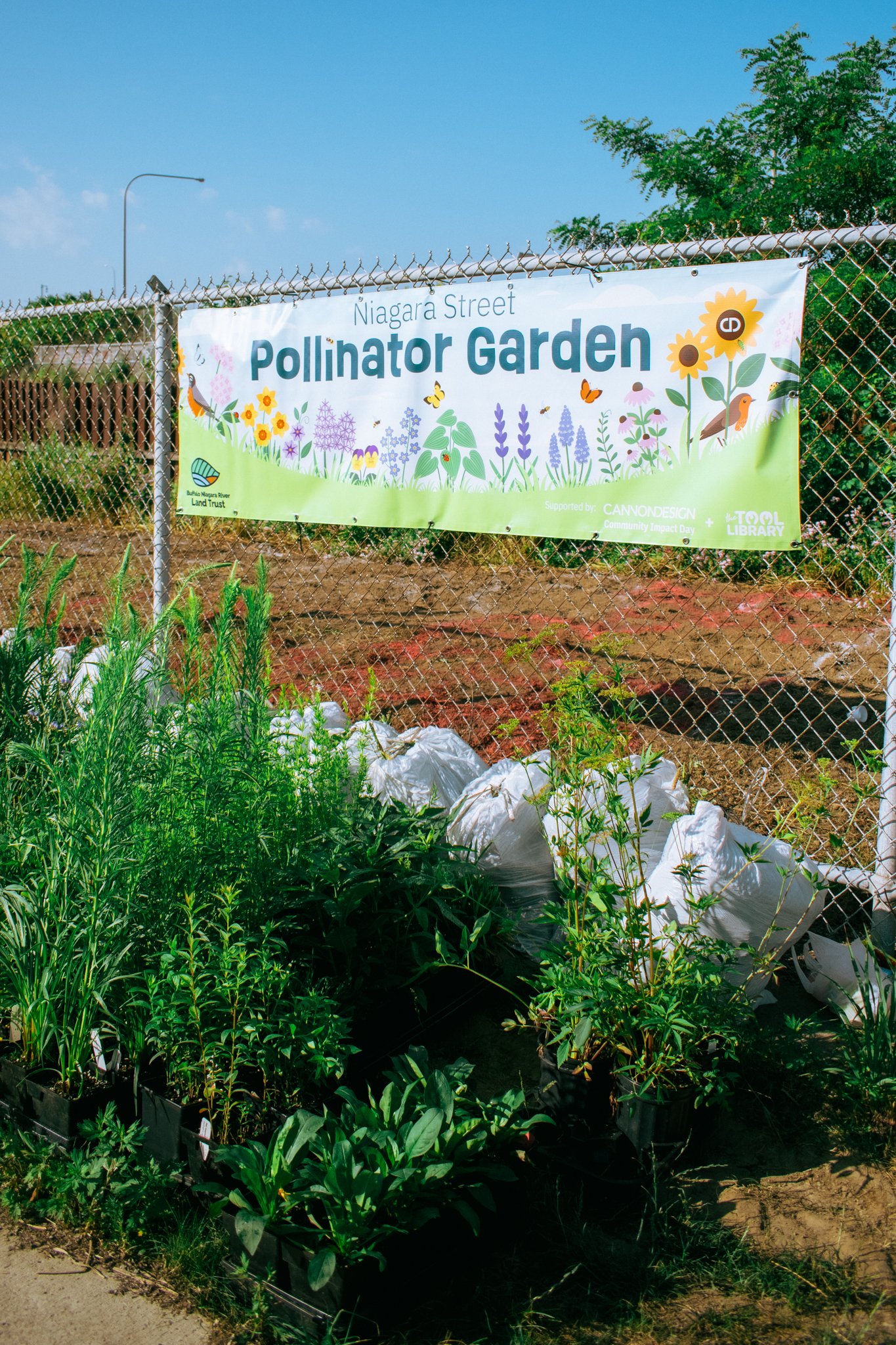 PollinatorGarden-57.jpg