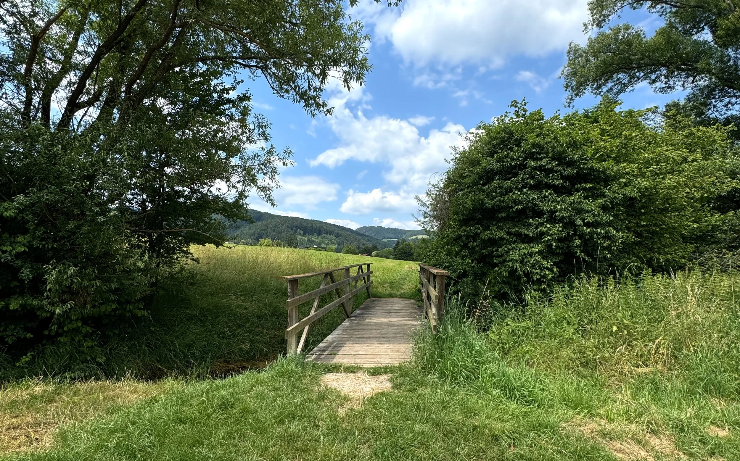 This little bridge is within walking distance of the place where I live. During maternity leave, I spent a lot of time walking in the surrounding area, and these regular walks became a quiet but important source of inspiration. Familiar places like t