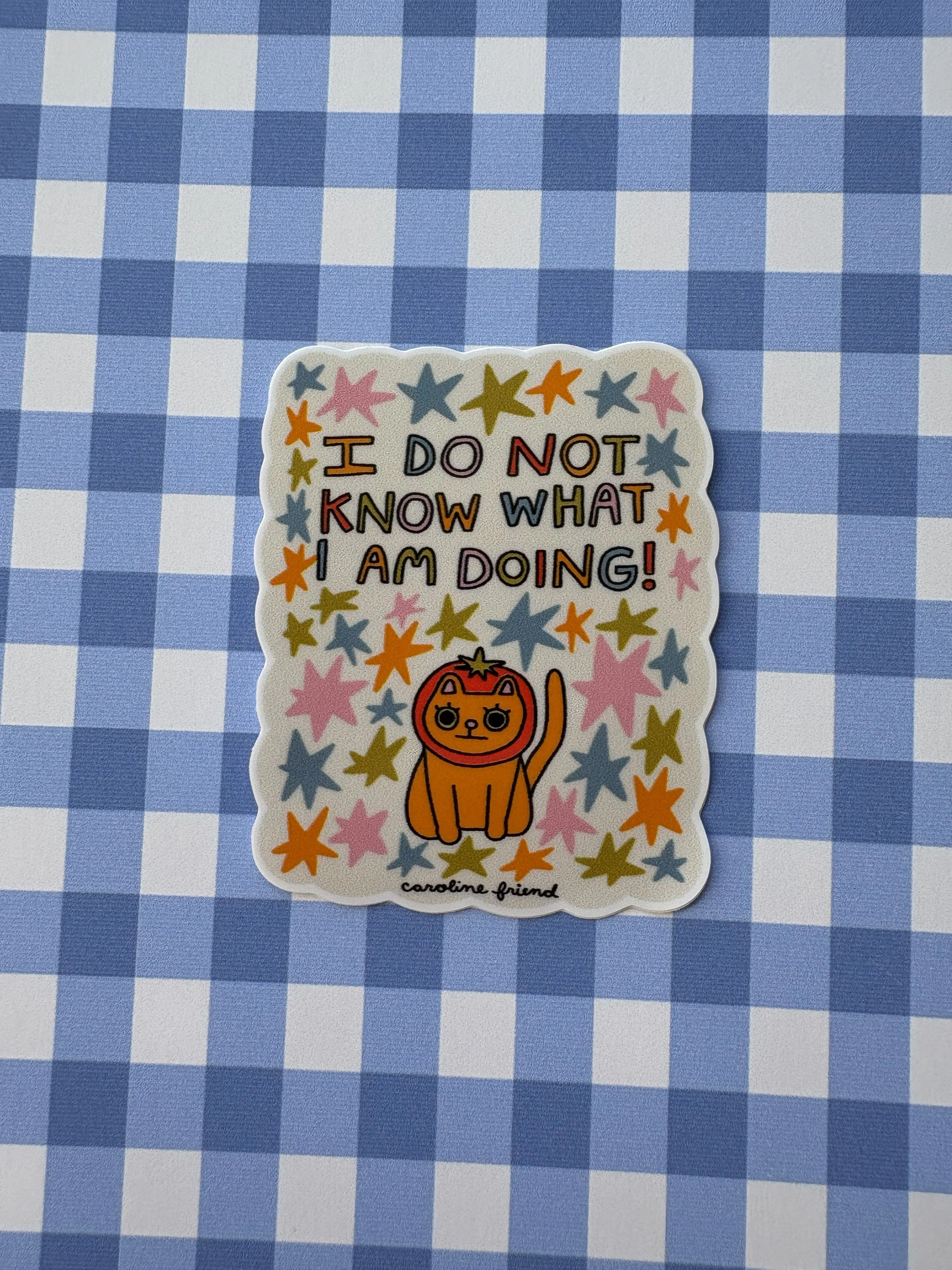 I Don't Know What I Am Doing Sticker