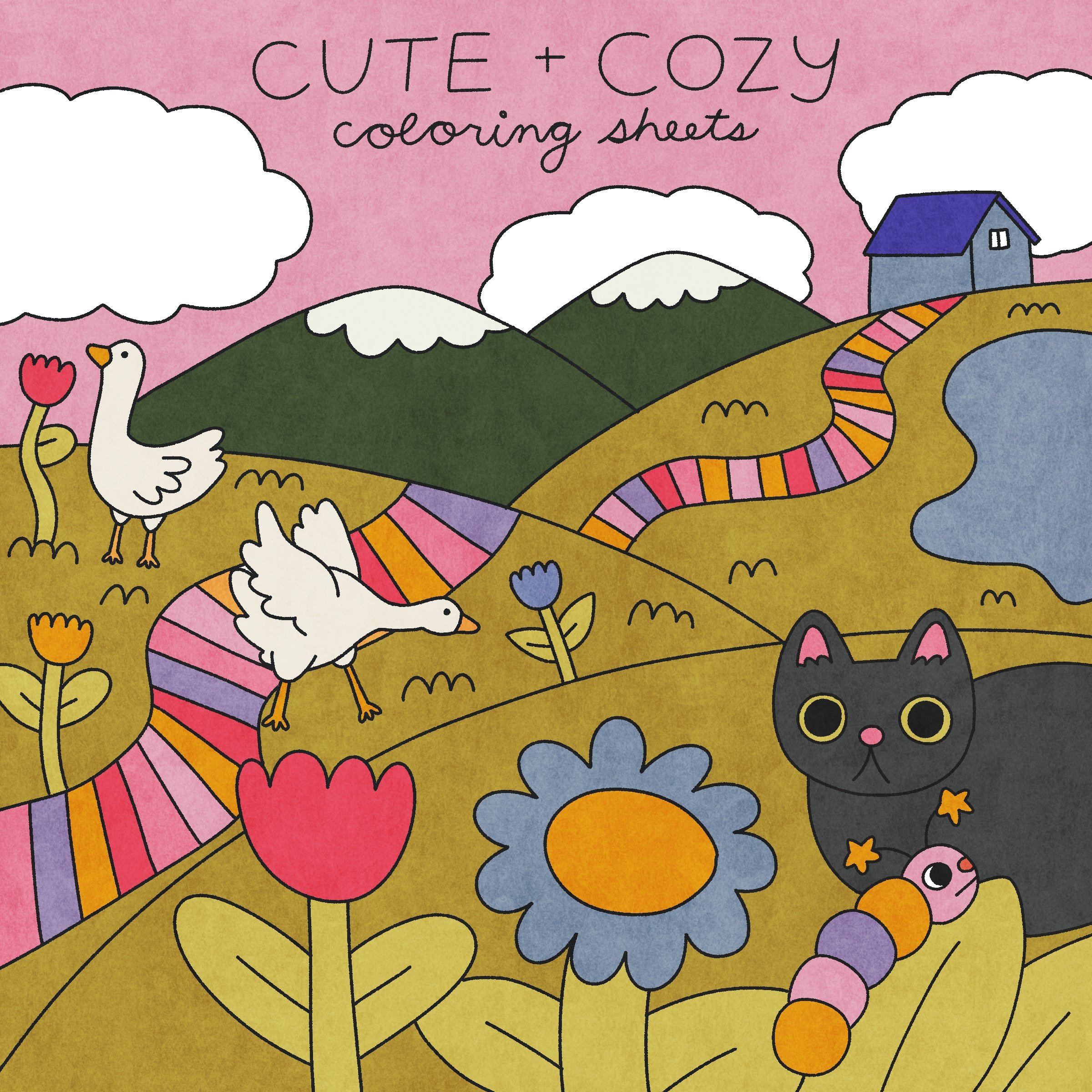 color sheets front.jpg
