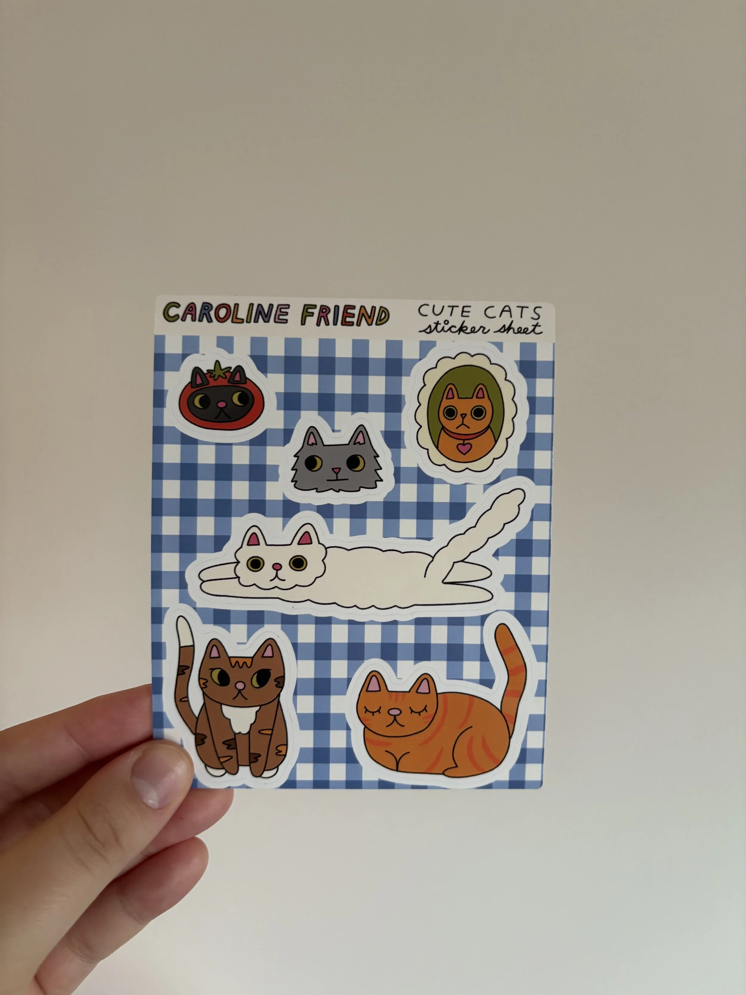 cute-cat-sheet-holding.jpg