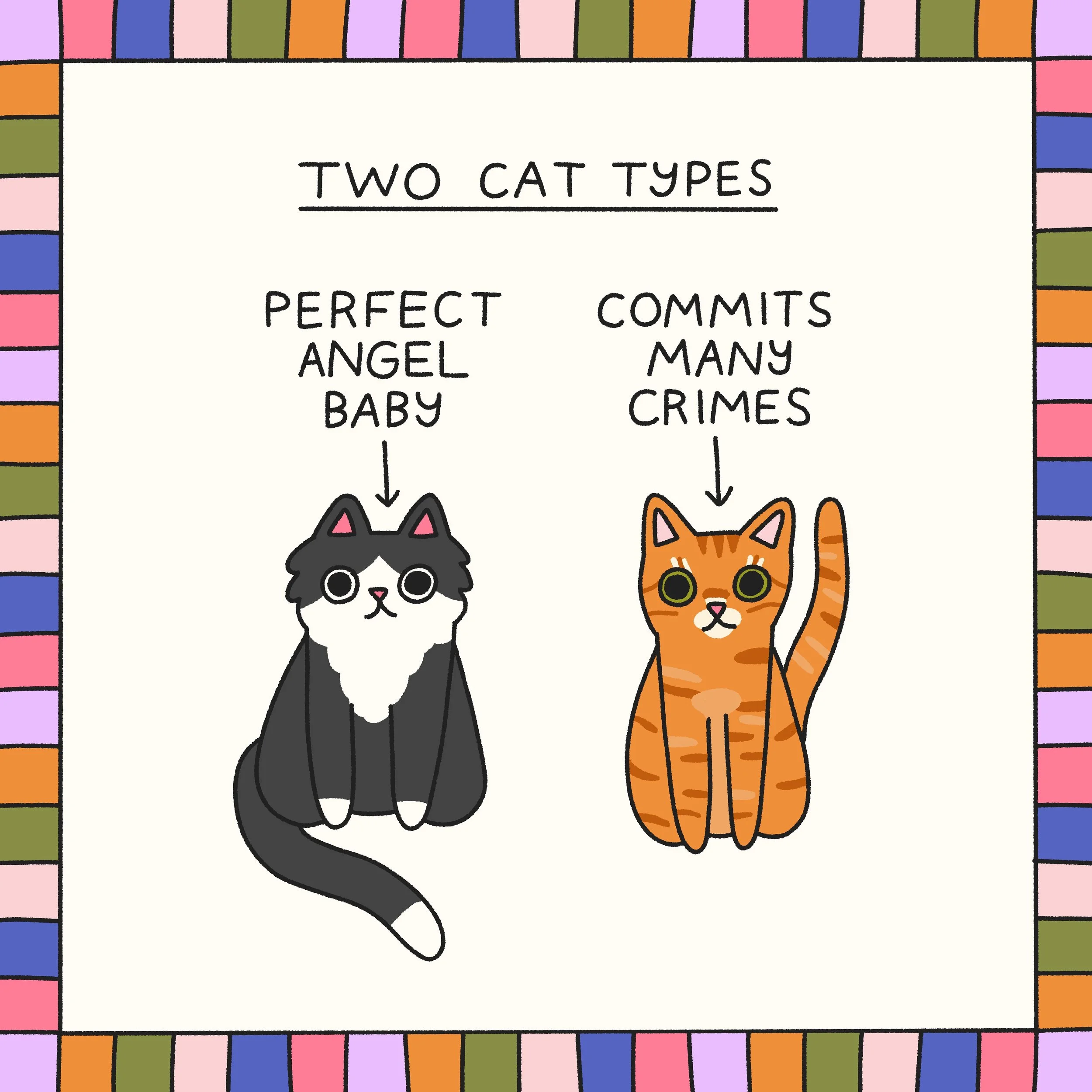two-cat-types.jpg