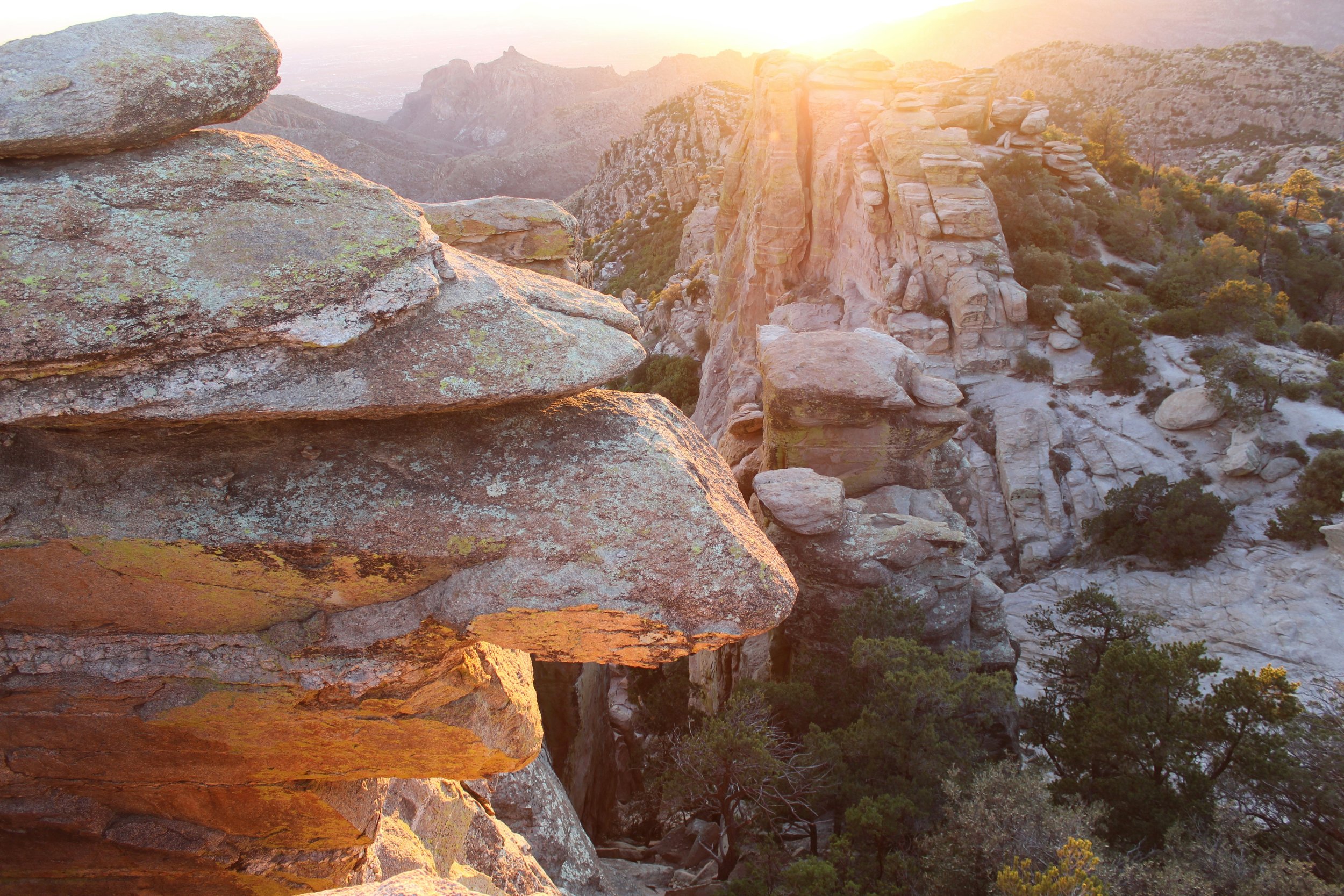 Wild Sol Nature & Yoga Retreat