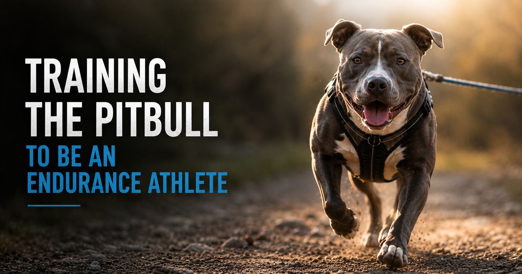 The Overlooked Phenotype: Why Muscular Athletes Become Elite Endurance Athletes