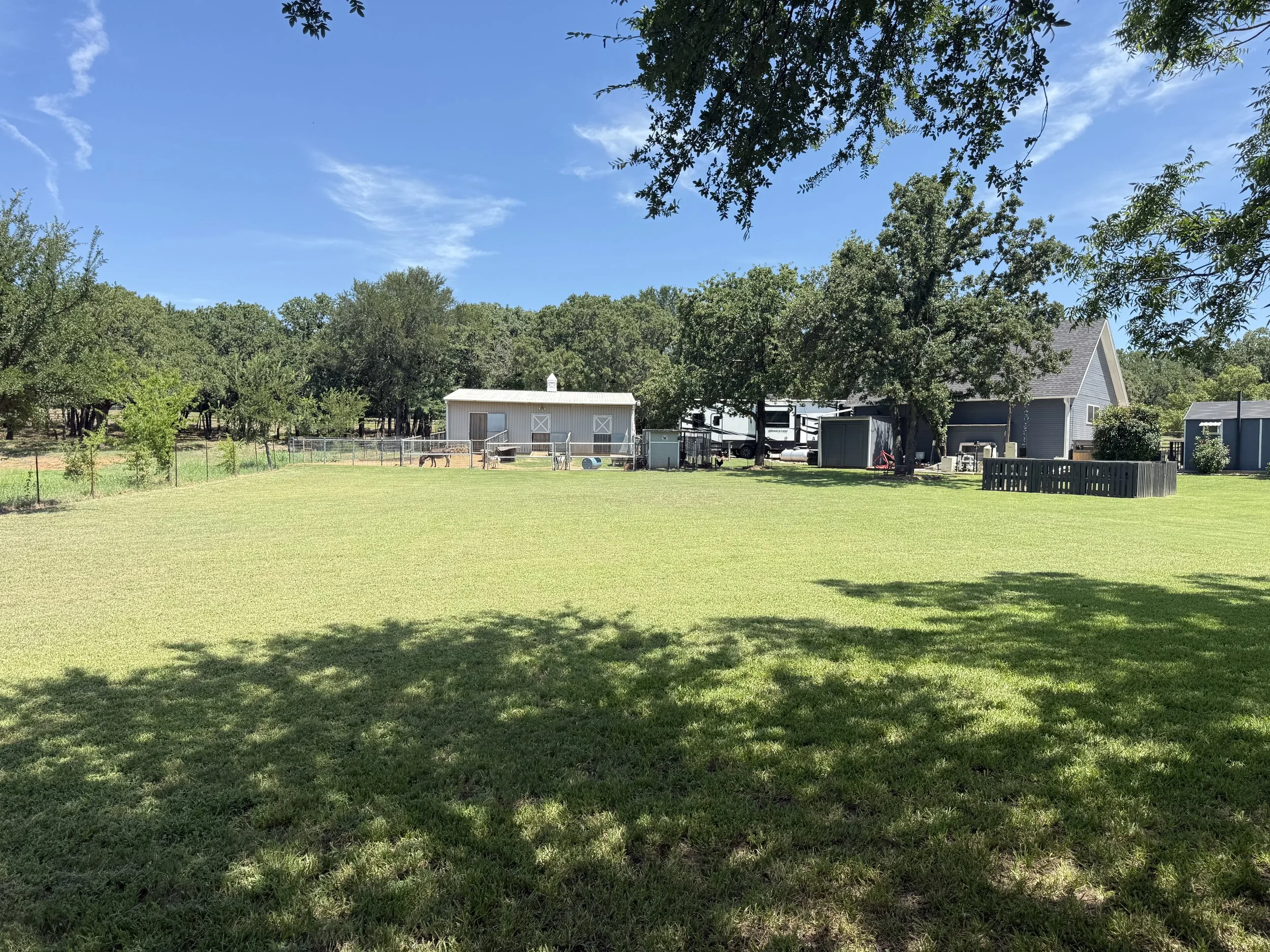 A spacious backyard with well-maintained green grass, shaded by large trees, with a small shed, a house, and a fenced-in area with dogs in the background under a clear blue sky.
