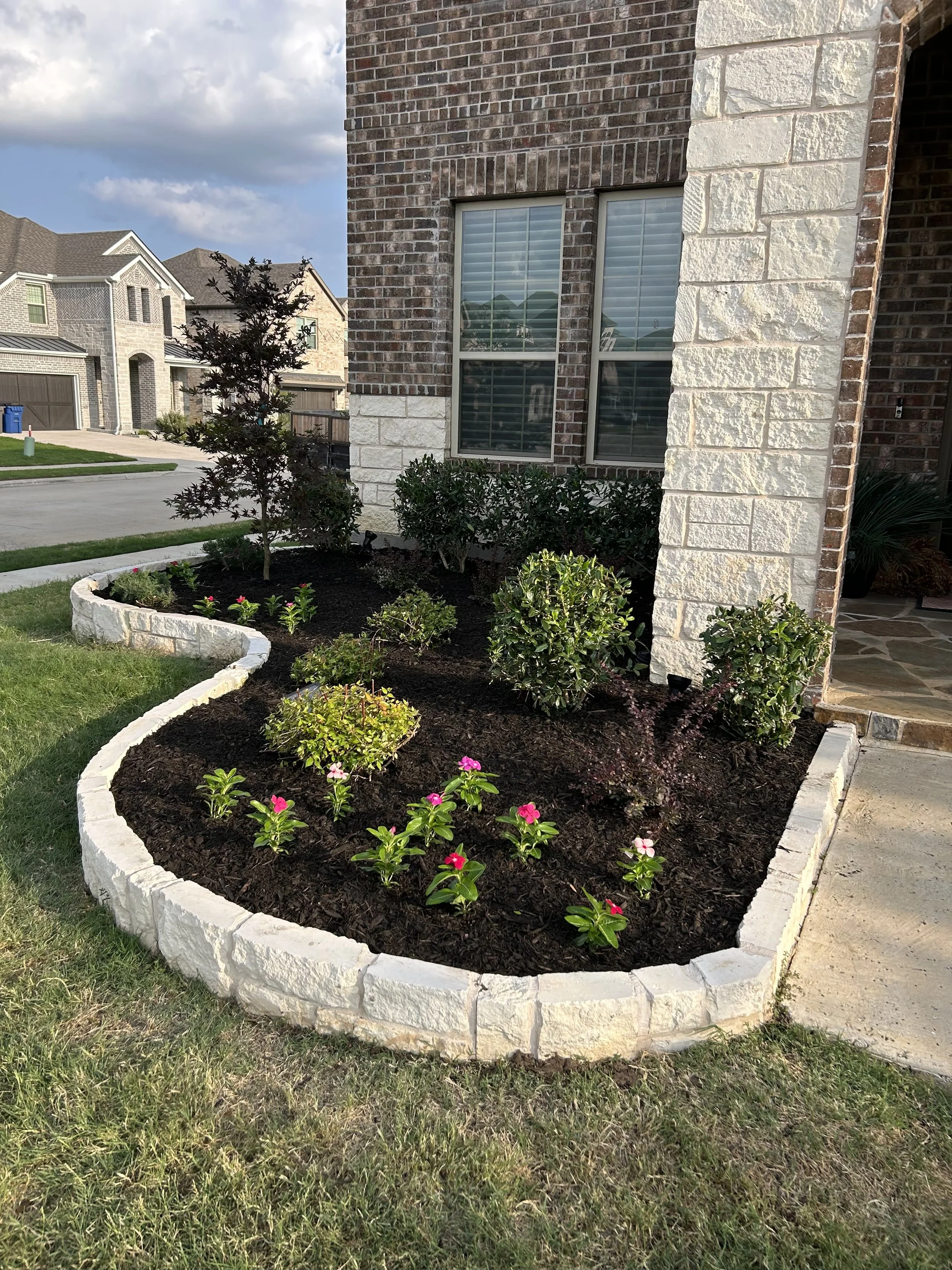 Front yard garden bed with a curved stone border, containing small flowering plants, shrubs, and a young tree, against the background of a brick house with two windows.