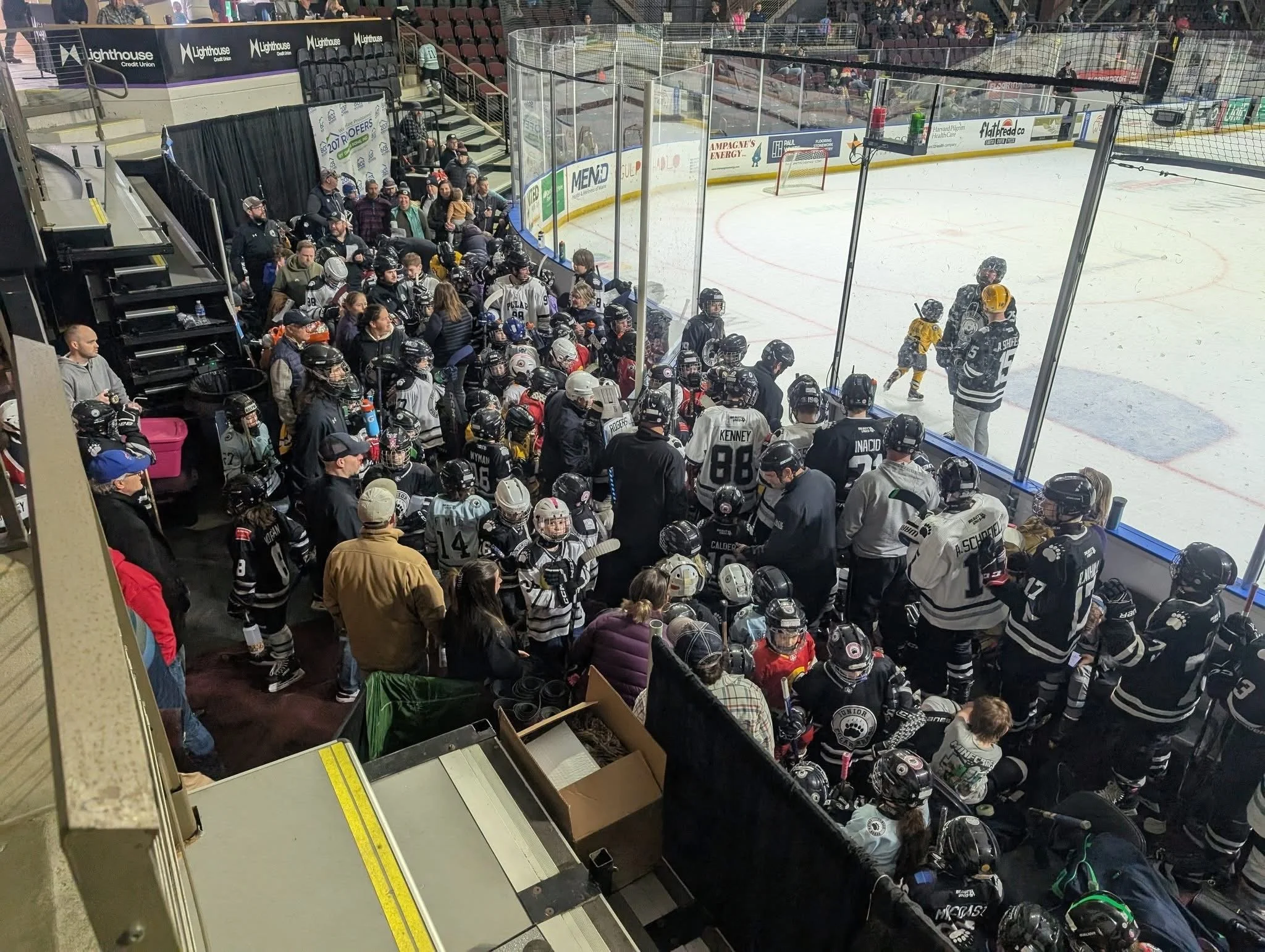 Welcome to the Official Midcoast Arena Project Website