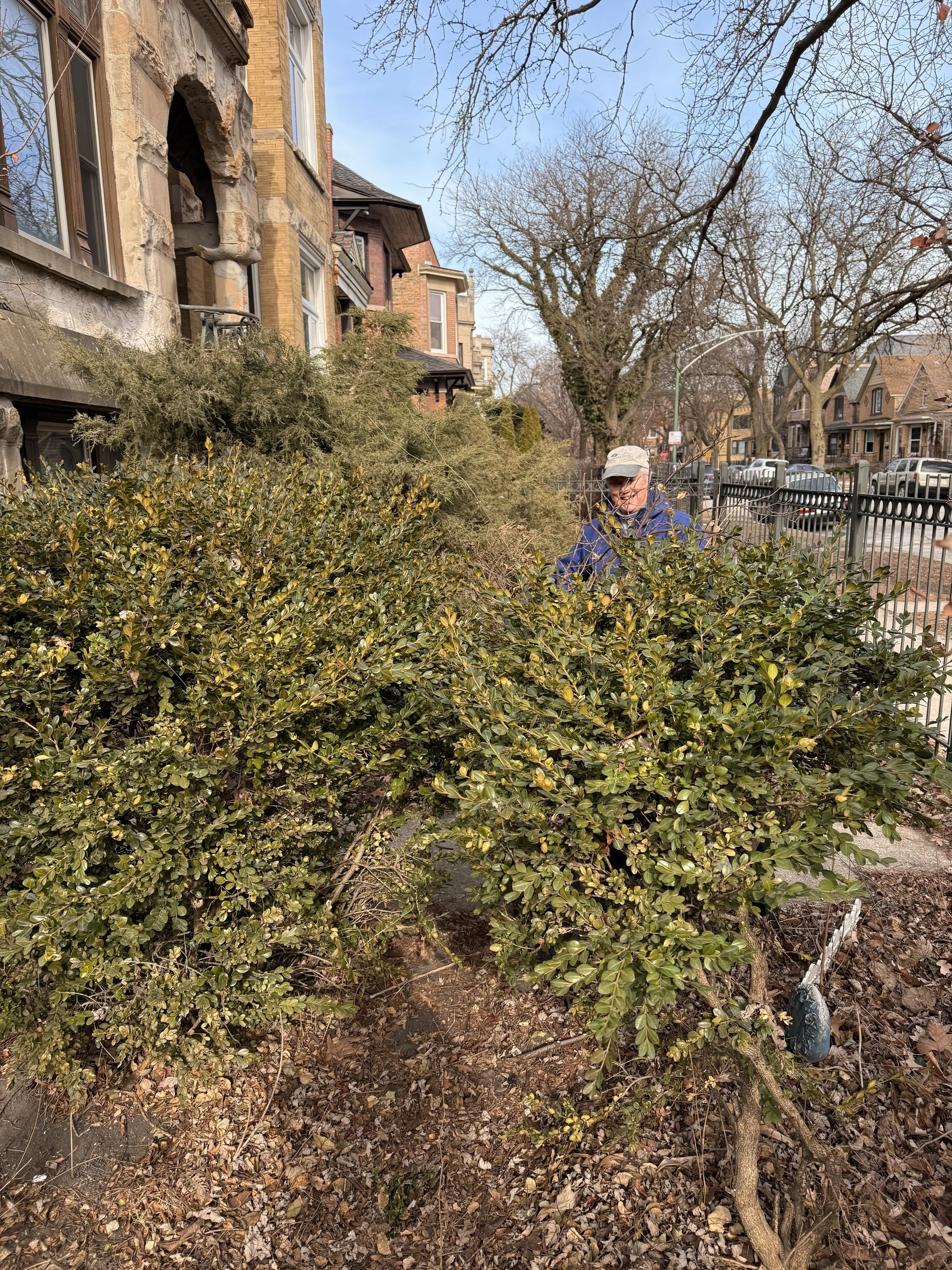 Park Site Cleanup, Early Spring 2025
